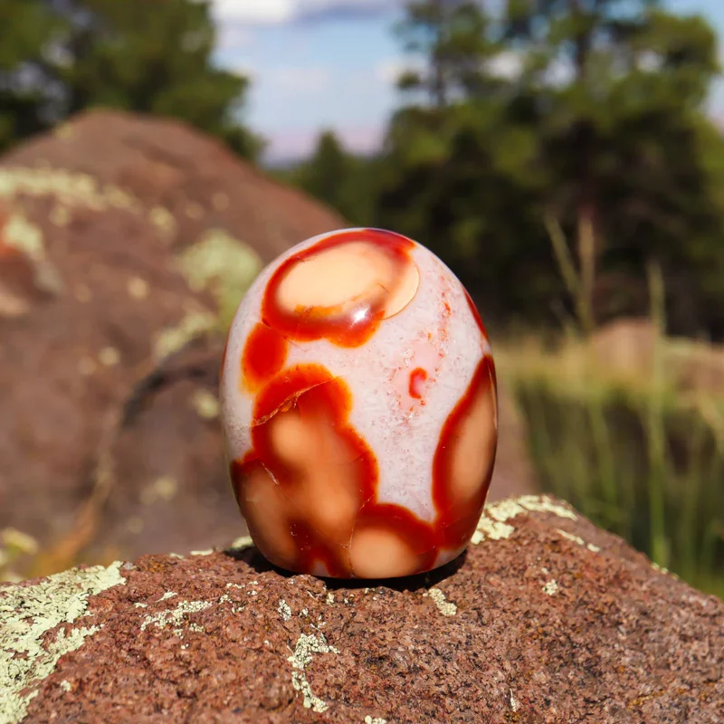 Close-up of a polished, multicolored stone with red, cream, and pink swirls, sitting on a rock outdoors.