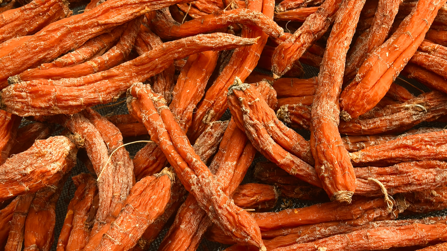 Dried red carrots laid out on a drying rack.