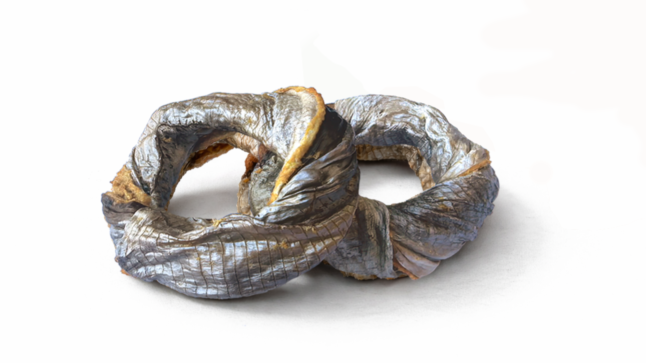 Two dried fish with shiny, scaly skin and gilled heads, positioned on a plain white surface.
