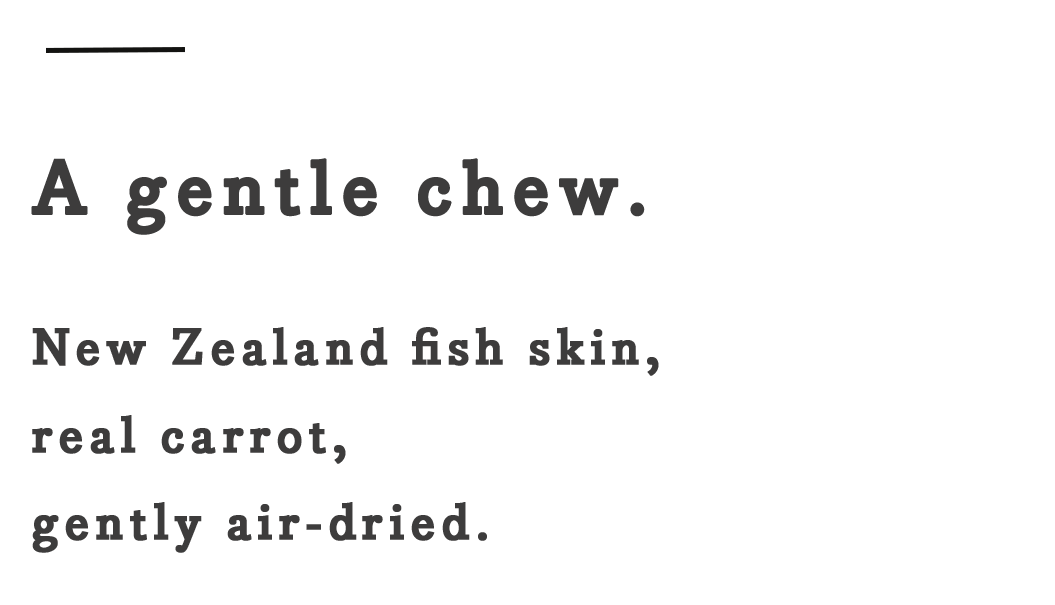 Text on a white background reads: "A gentle chew. New Zealand fish skin, real carrot, gently air-dried."
