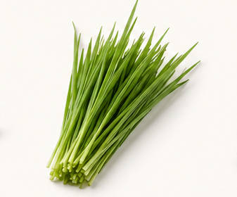 Fresh green chives on a white background