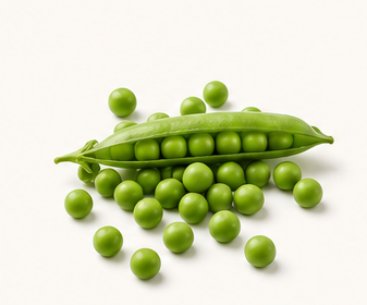 Green peas and pea pod on a white background.