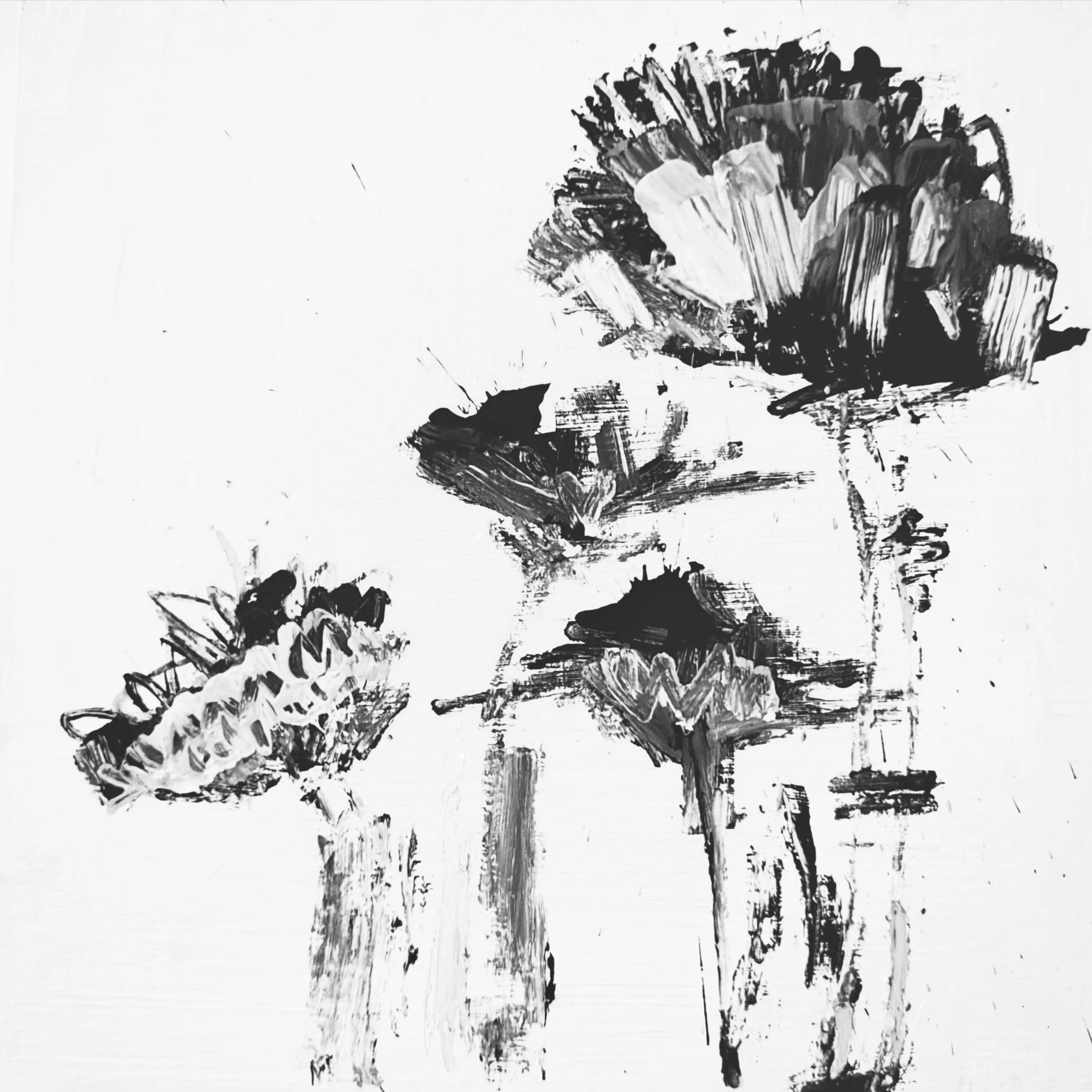 BWThistle.jpg