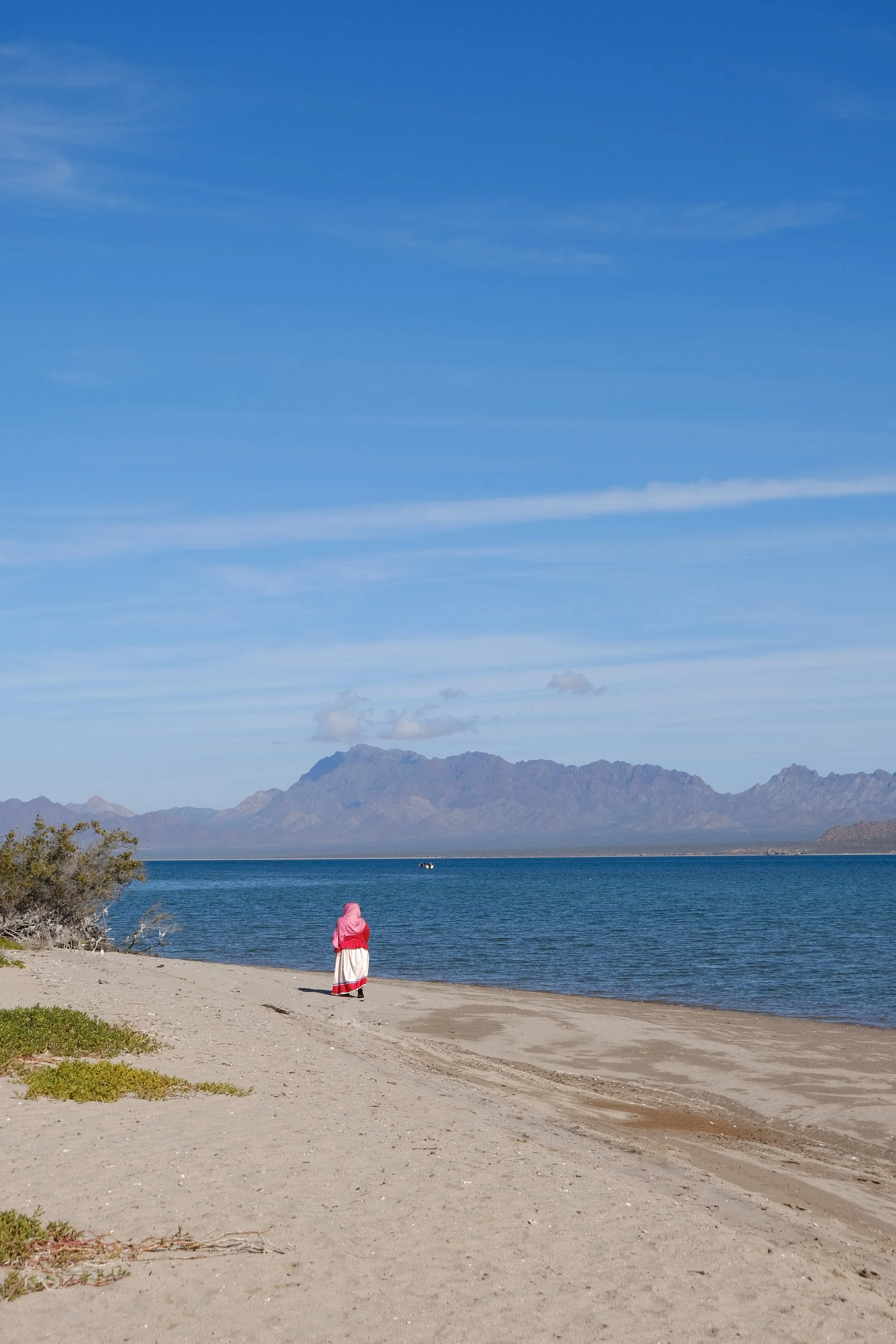 DSCF6368.jpg