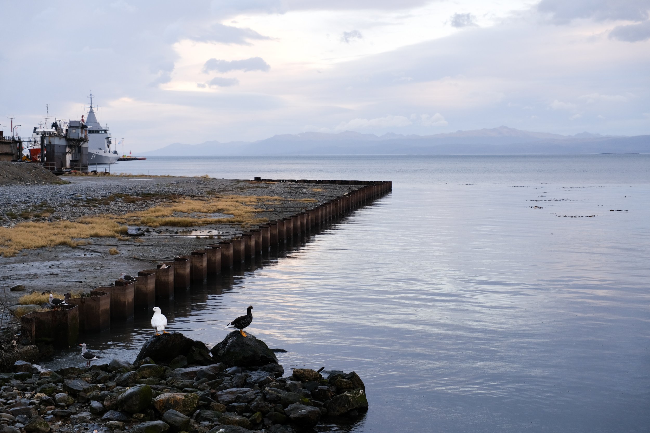 DSCF8951.jpg