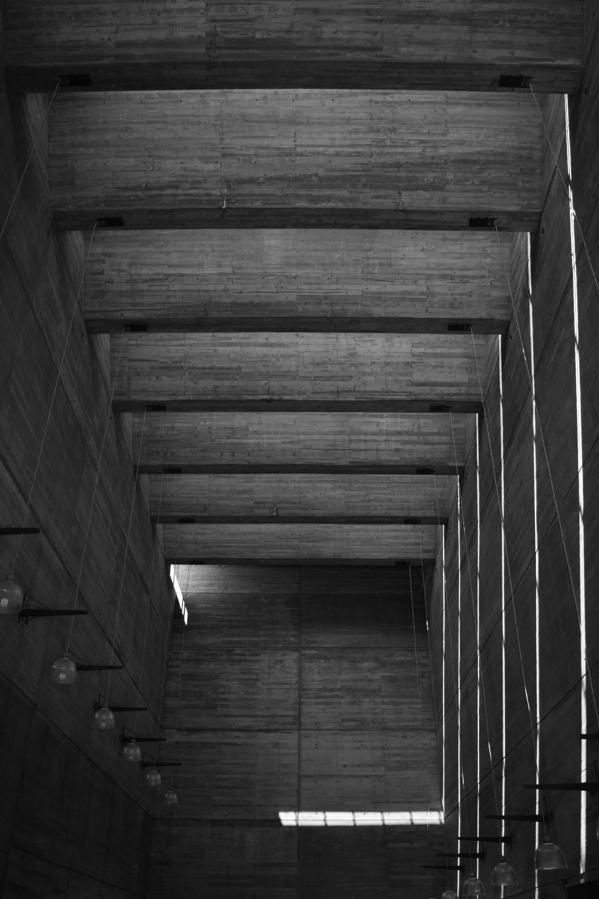 DSC_0896.jpg