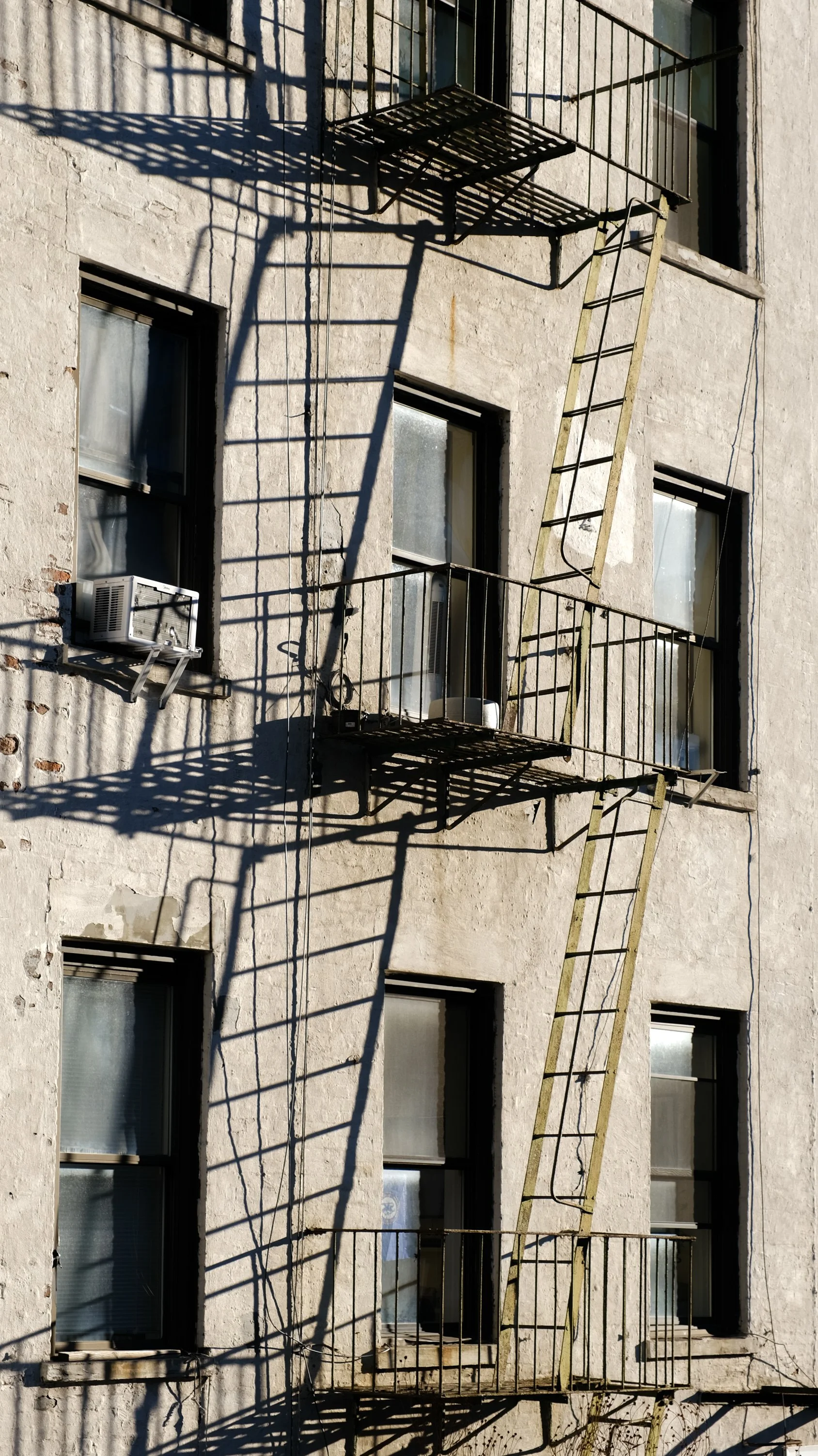 DSCF8494.jpg