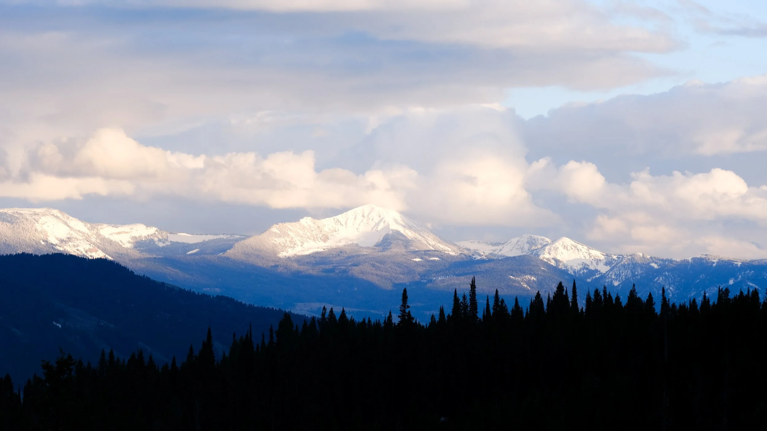 DSCF4193.jpg