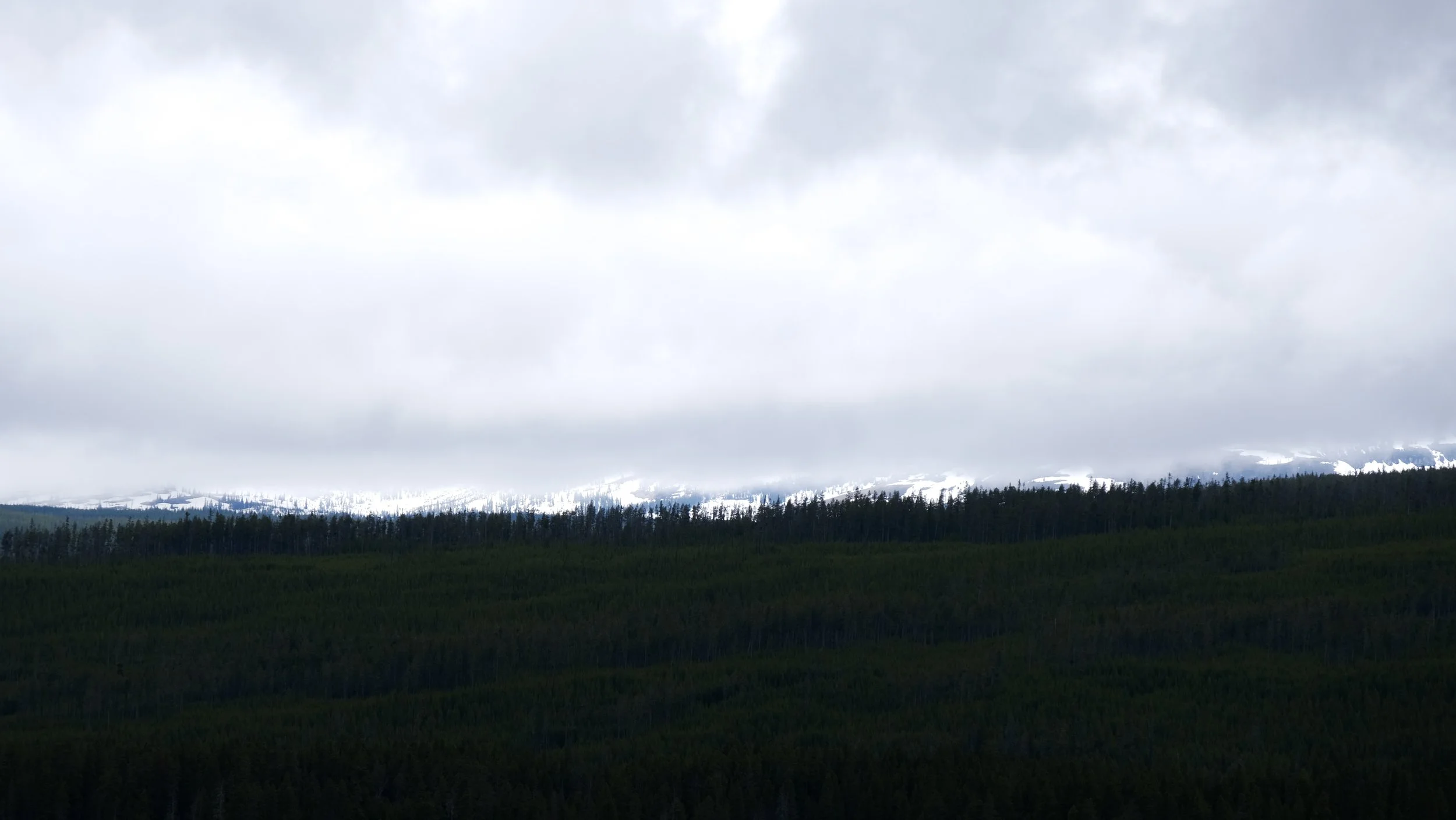 DSCF2987.jpg