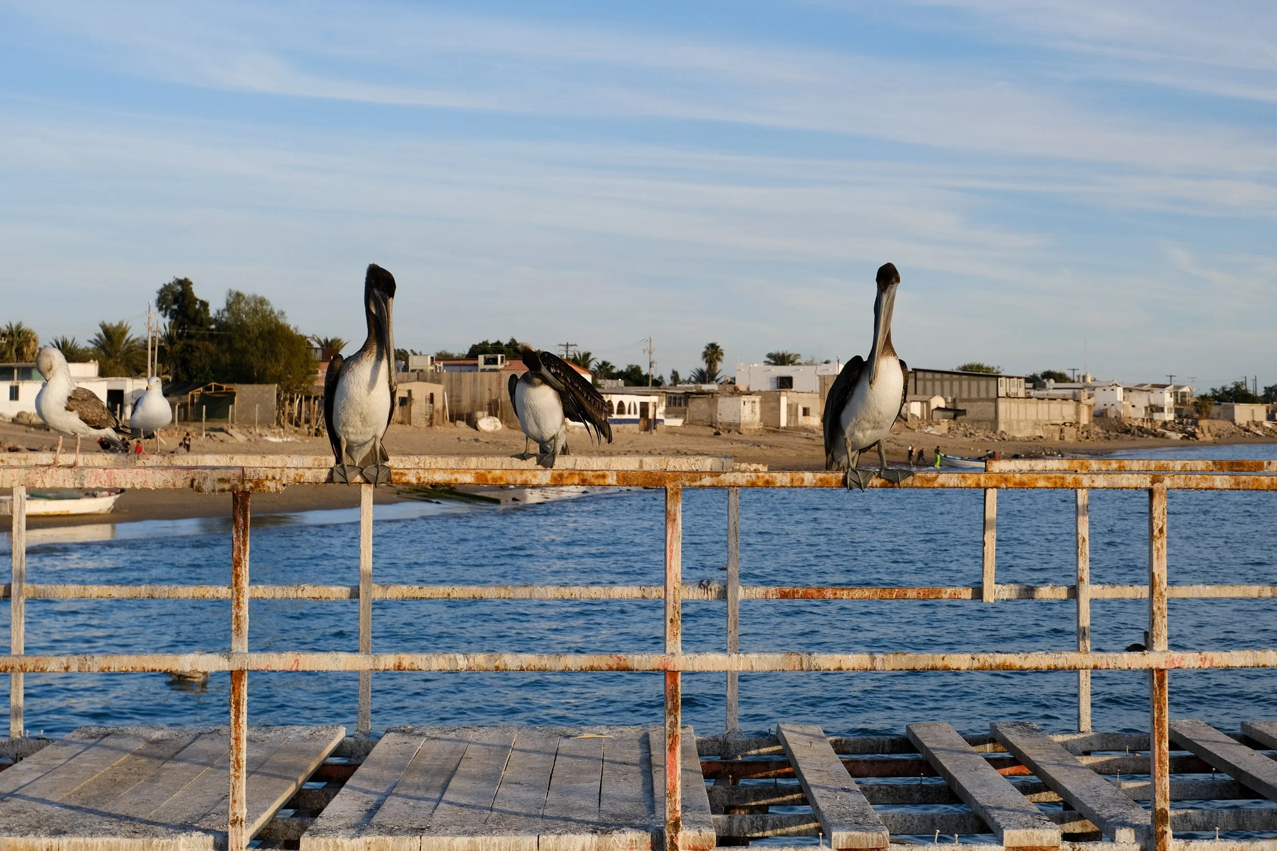 DSCF6861.jpg