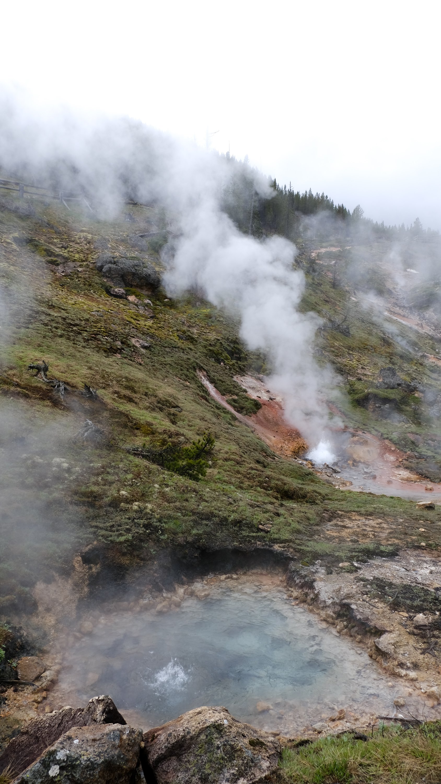 DSCF2881.jpg