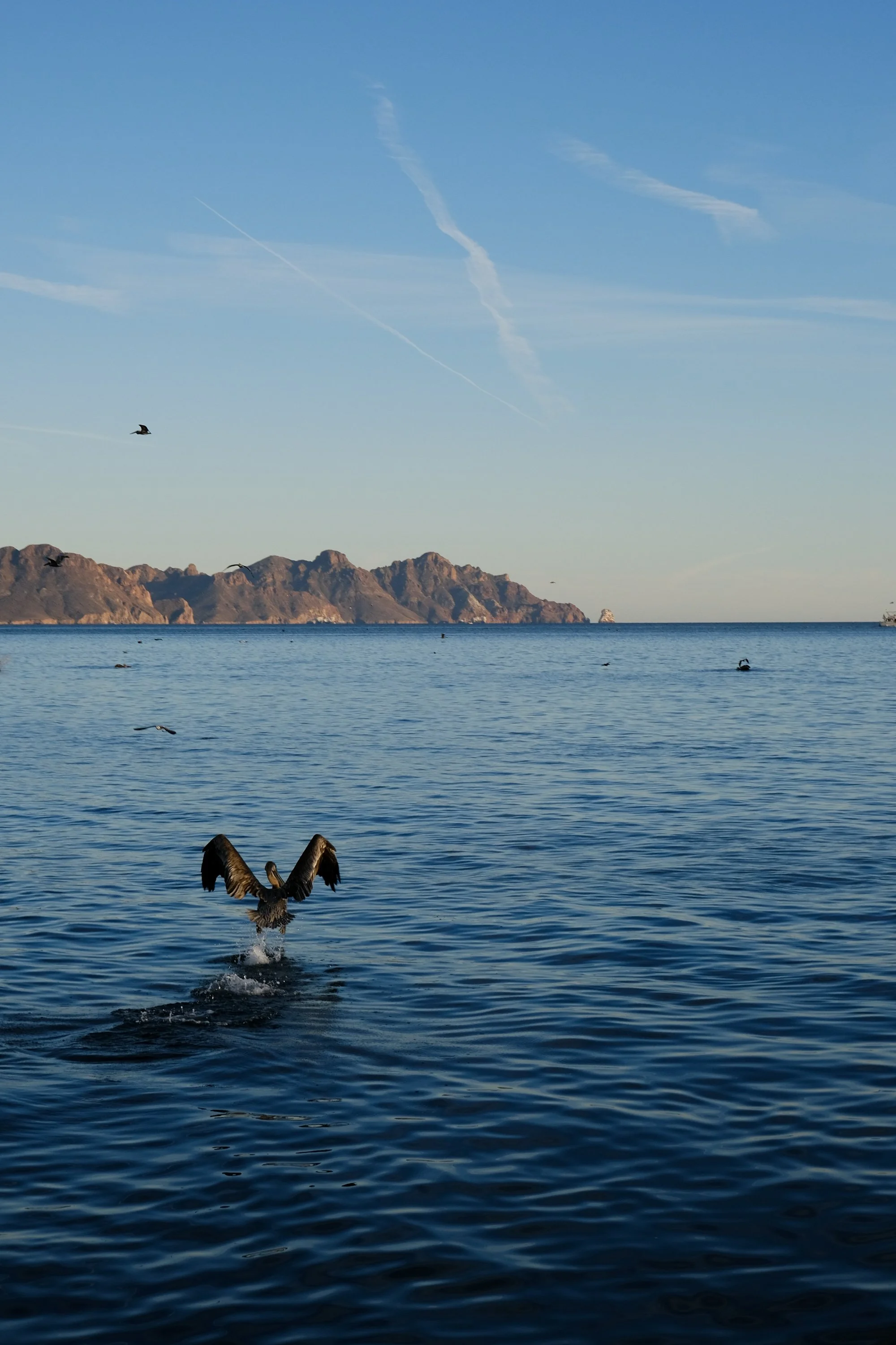 DSCF5719.jpg