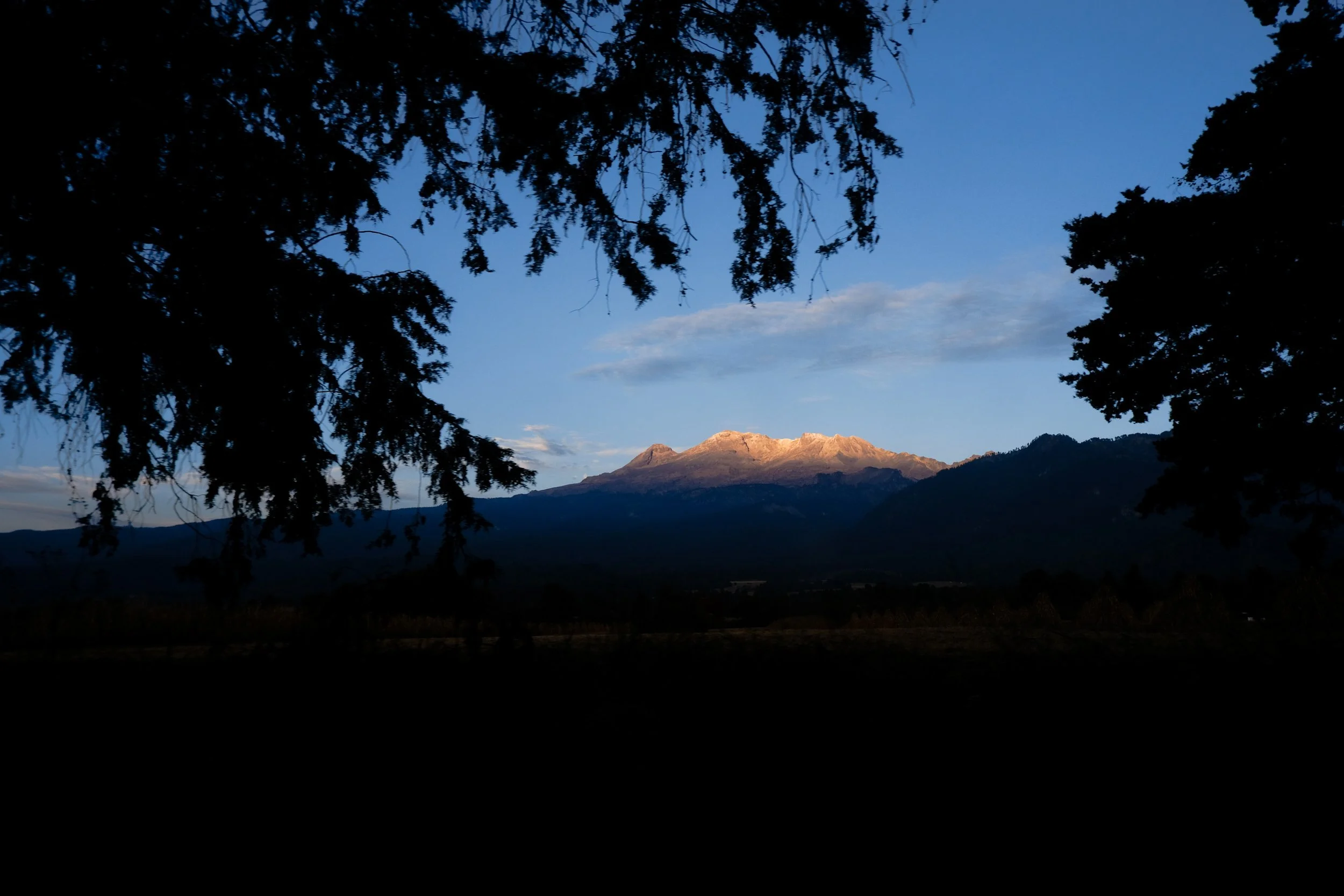 DSCF7400.jpg