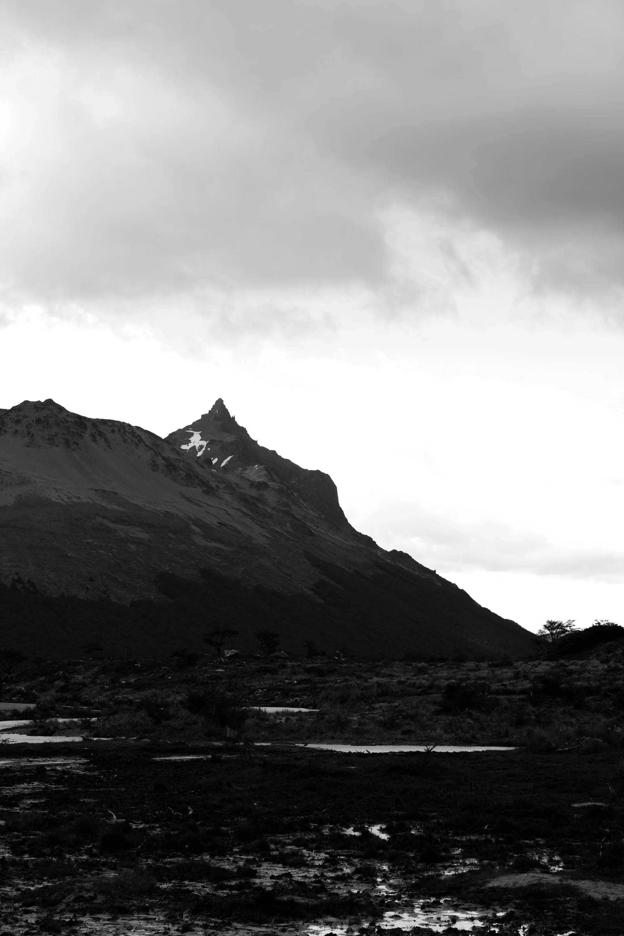 DSCF9165.jpg