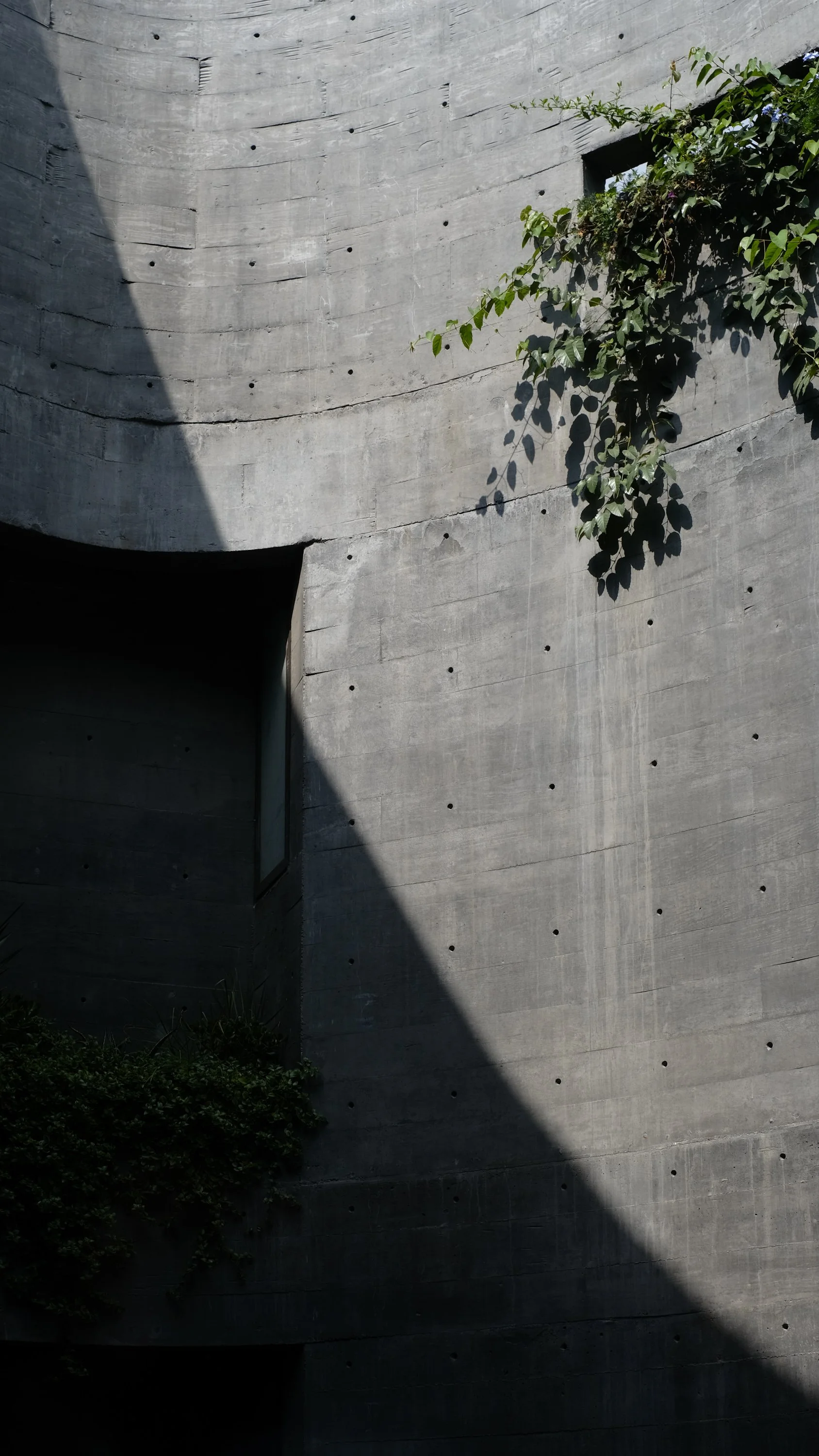 DSCF3495.jpg