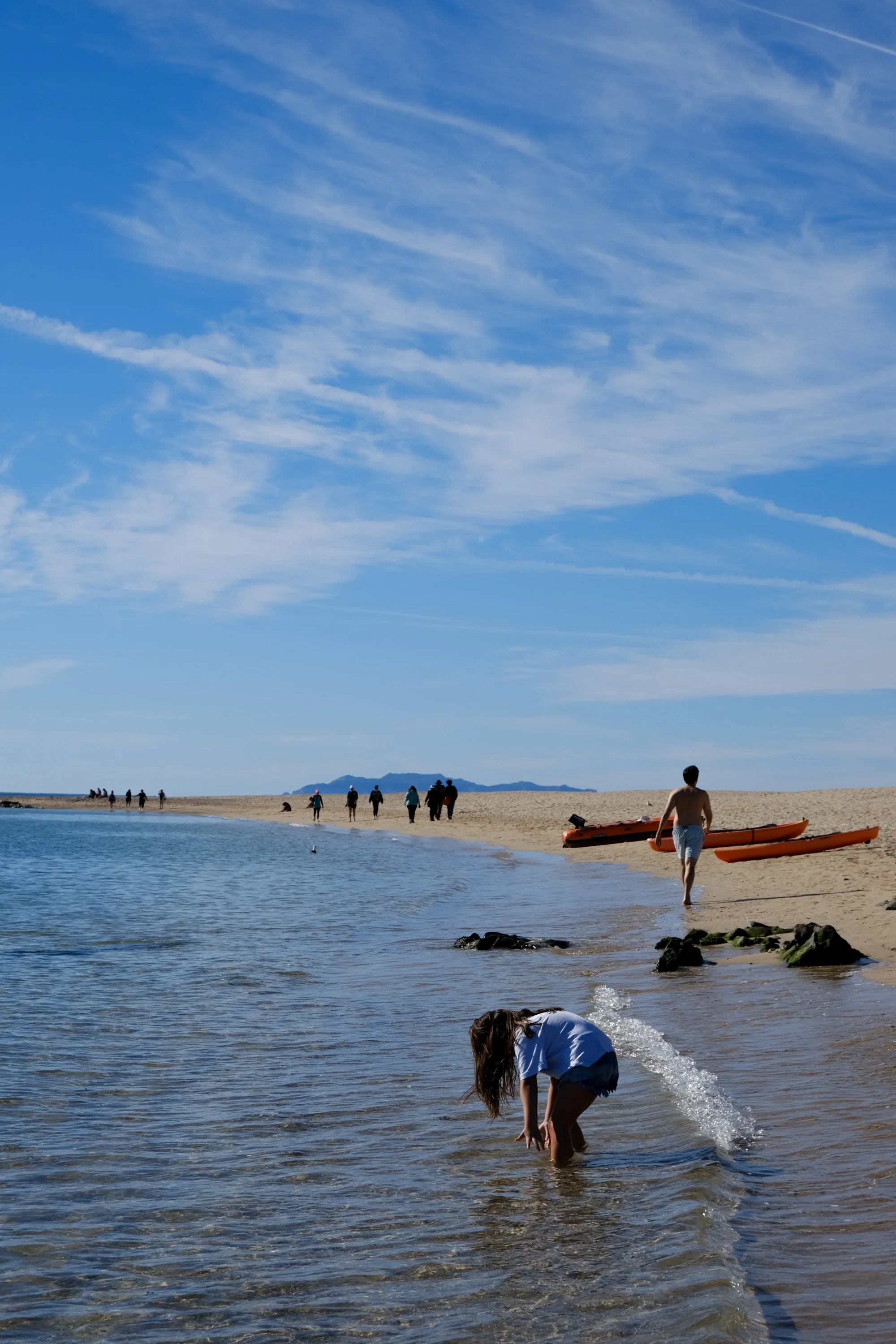 DSCF5291.jpg