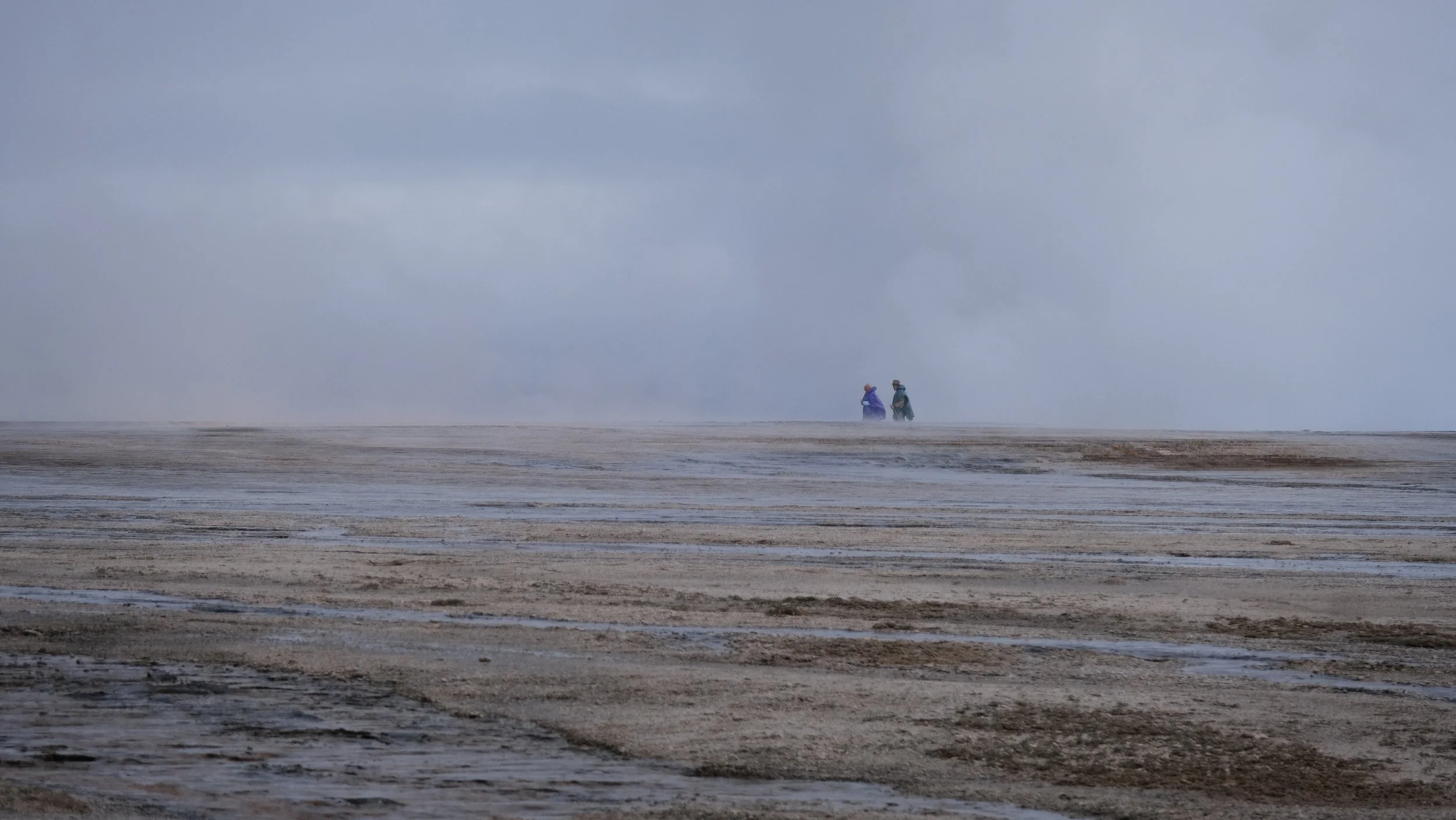 DSCF2613.jpg