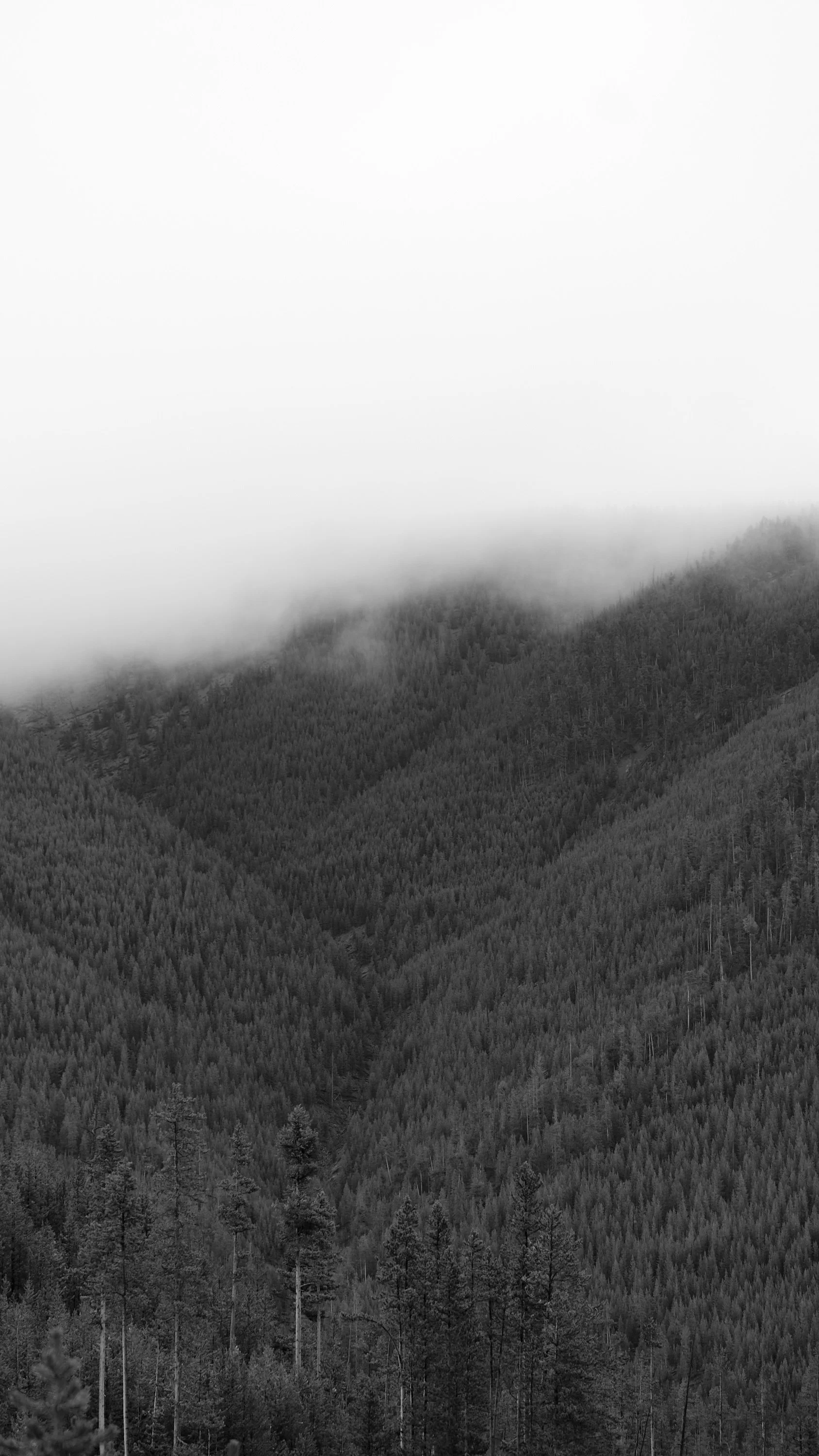 DSCF2778.jpg