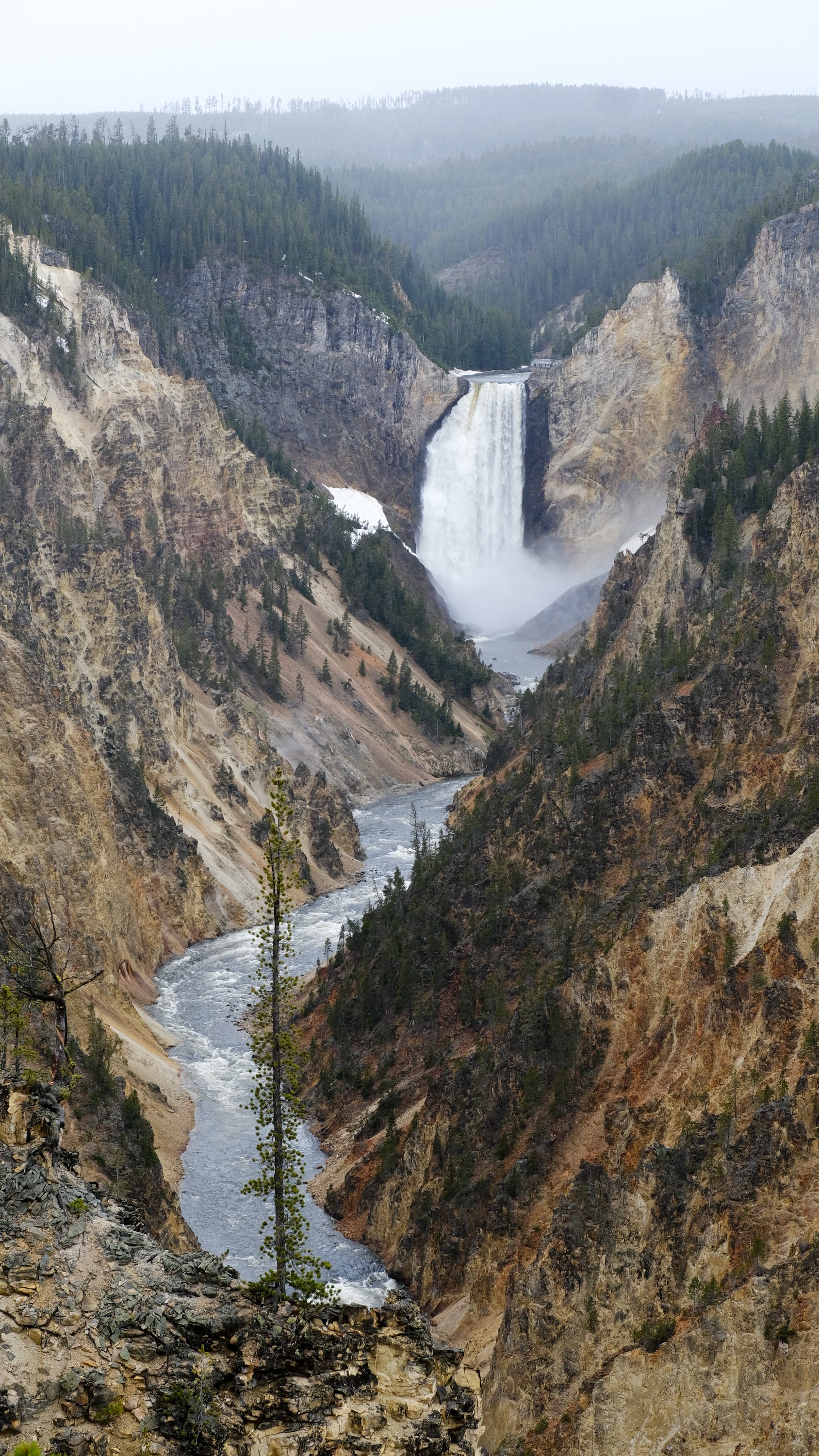 DSCF3520.jpg