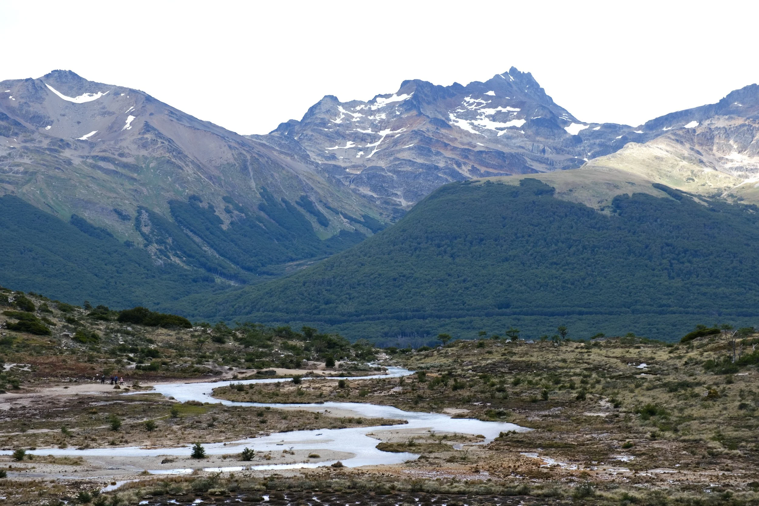 DSCF9171.jpg