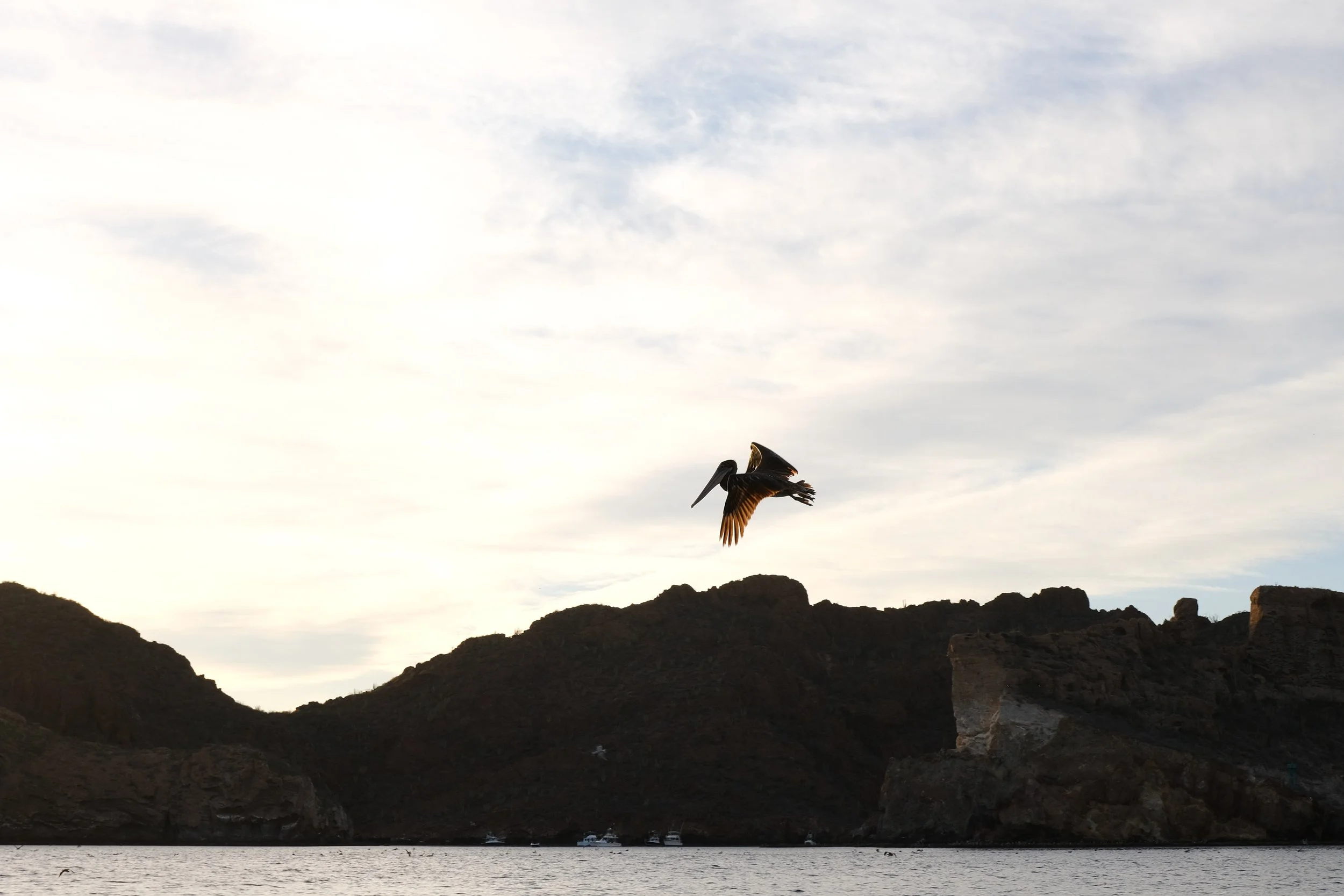 DSCF5823.jpg