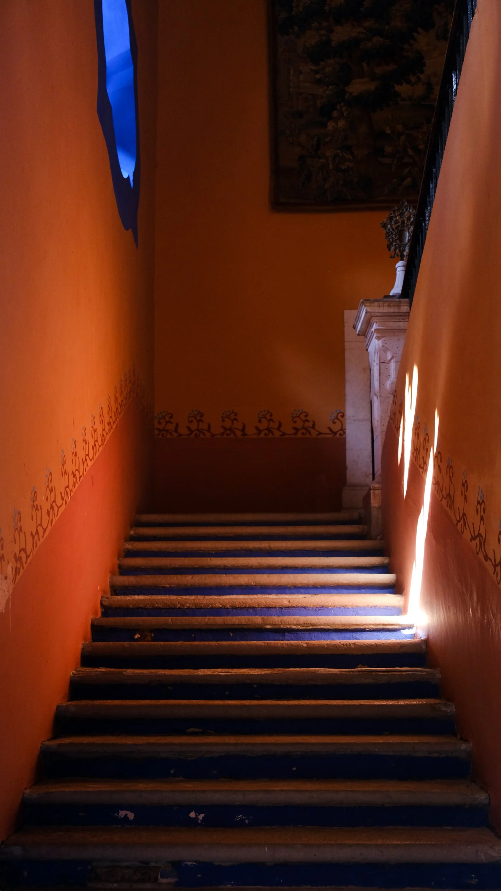 DSCF0046.jpg