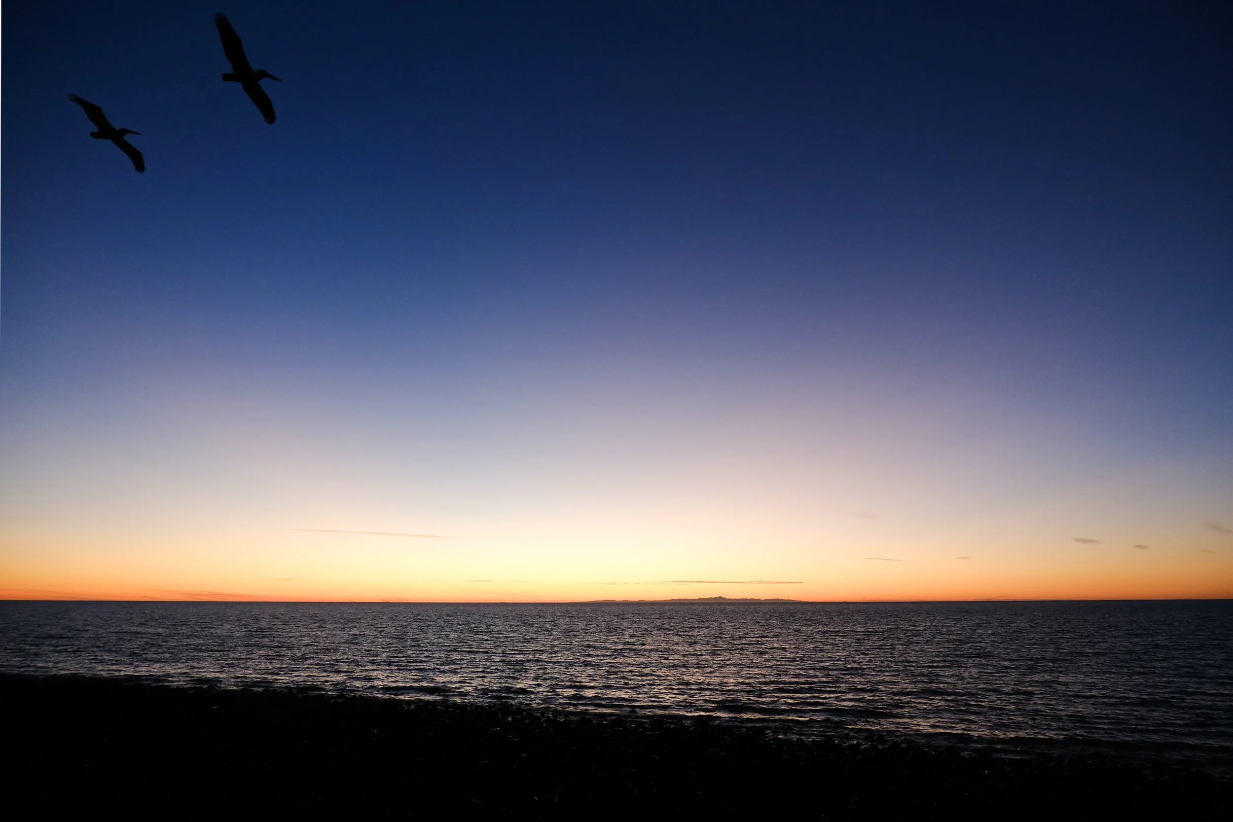 DSCF4971.jpg