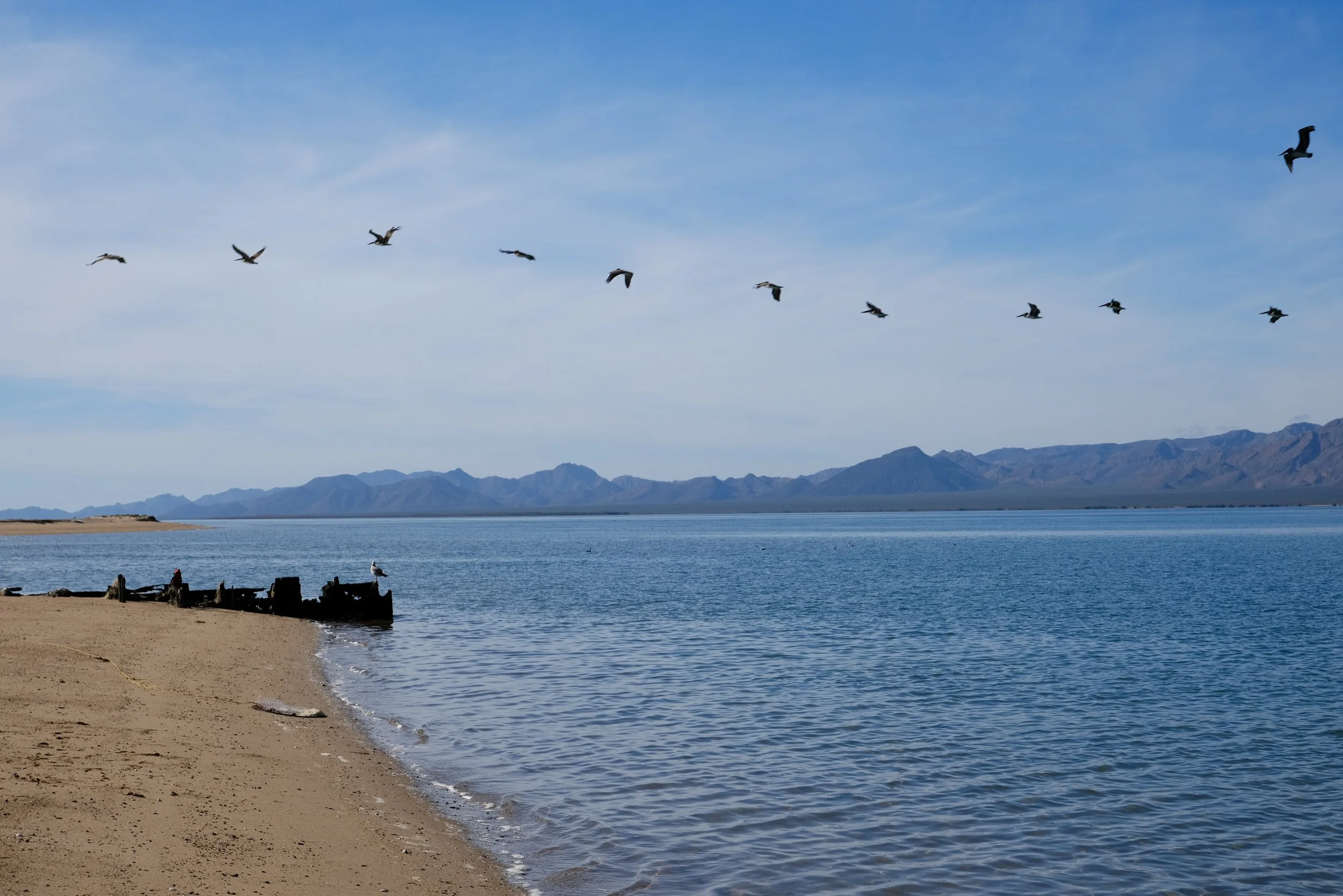 DSCF6210.jpg