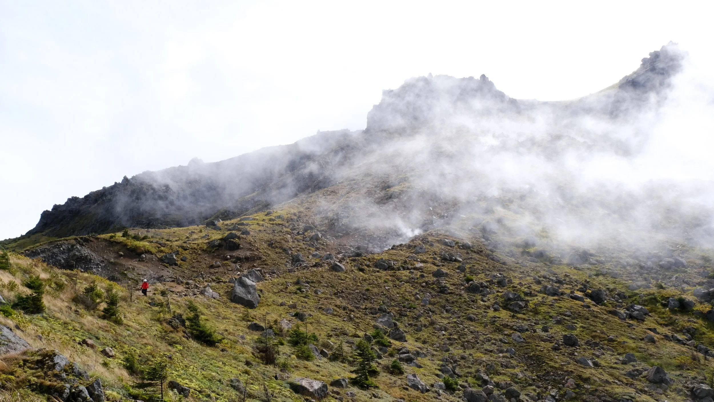 DSCF0532.jpg