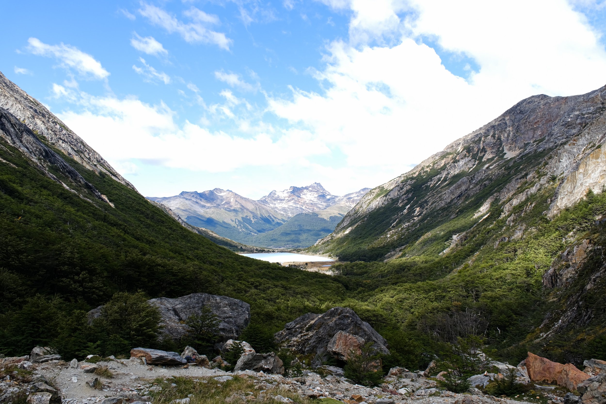 DSCF9238.jpg