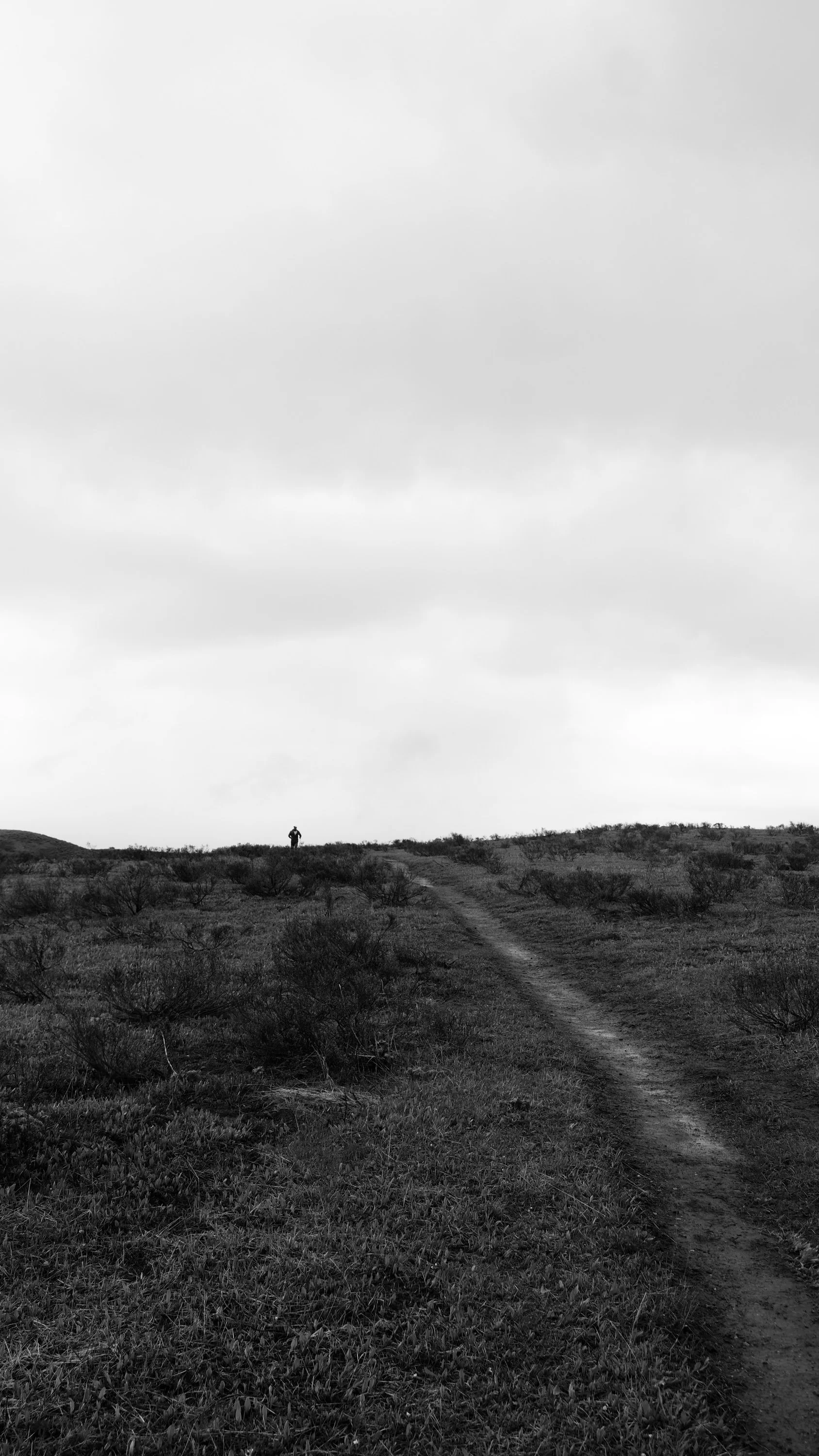 DSCF3212.jpg