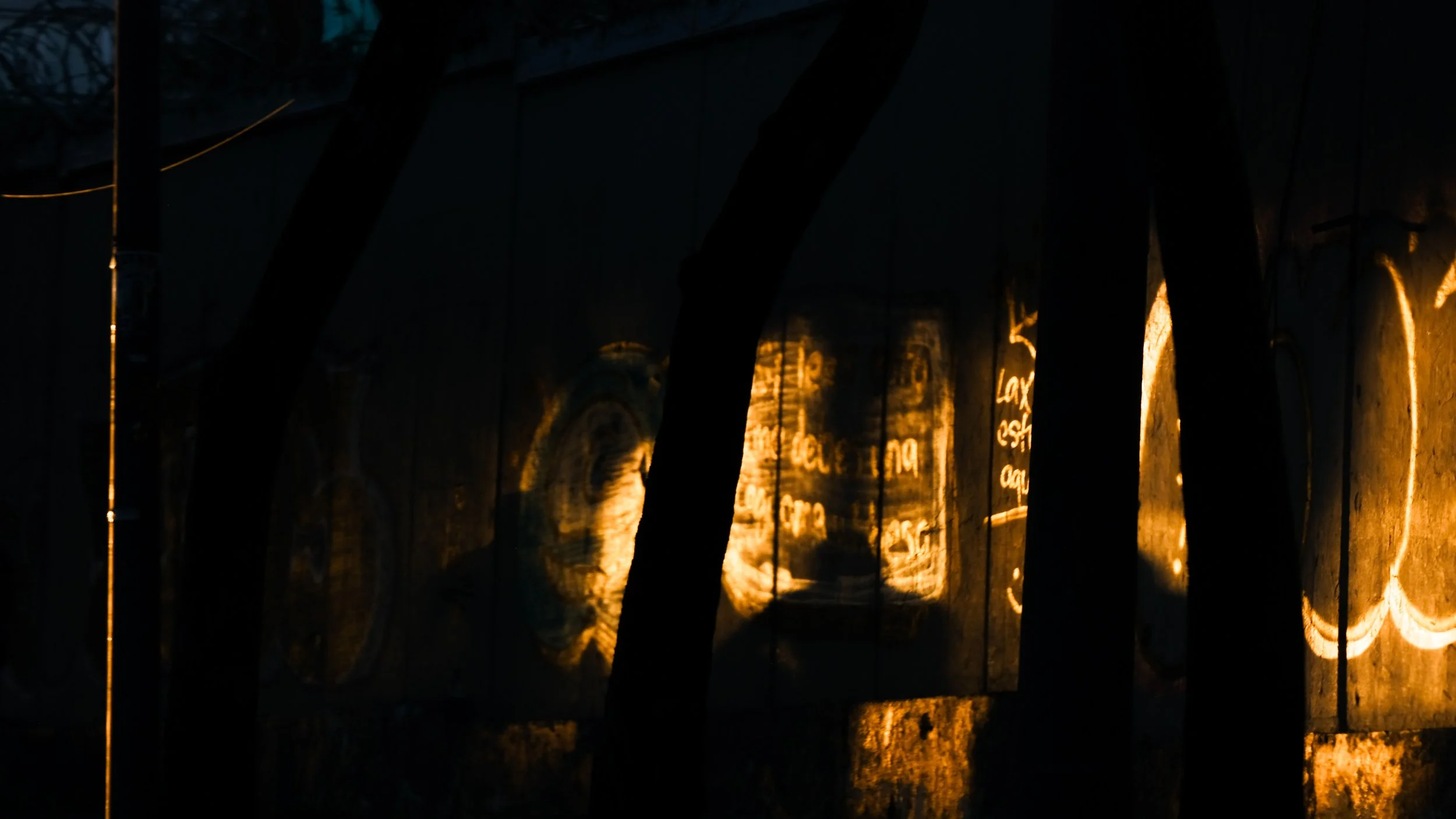 DSCF7550.jpg