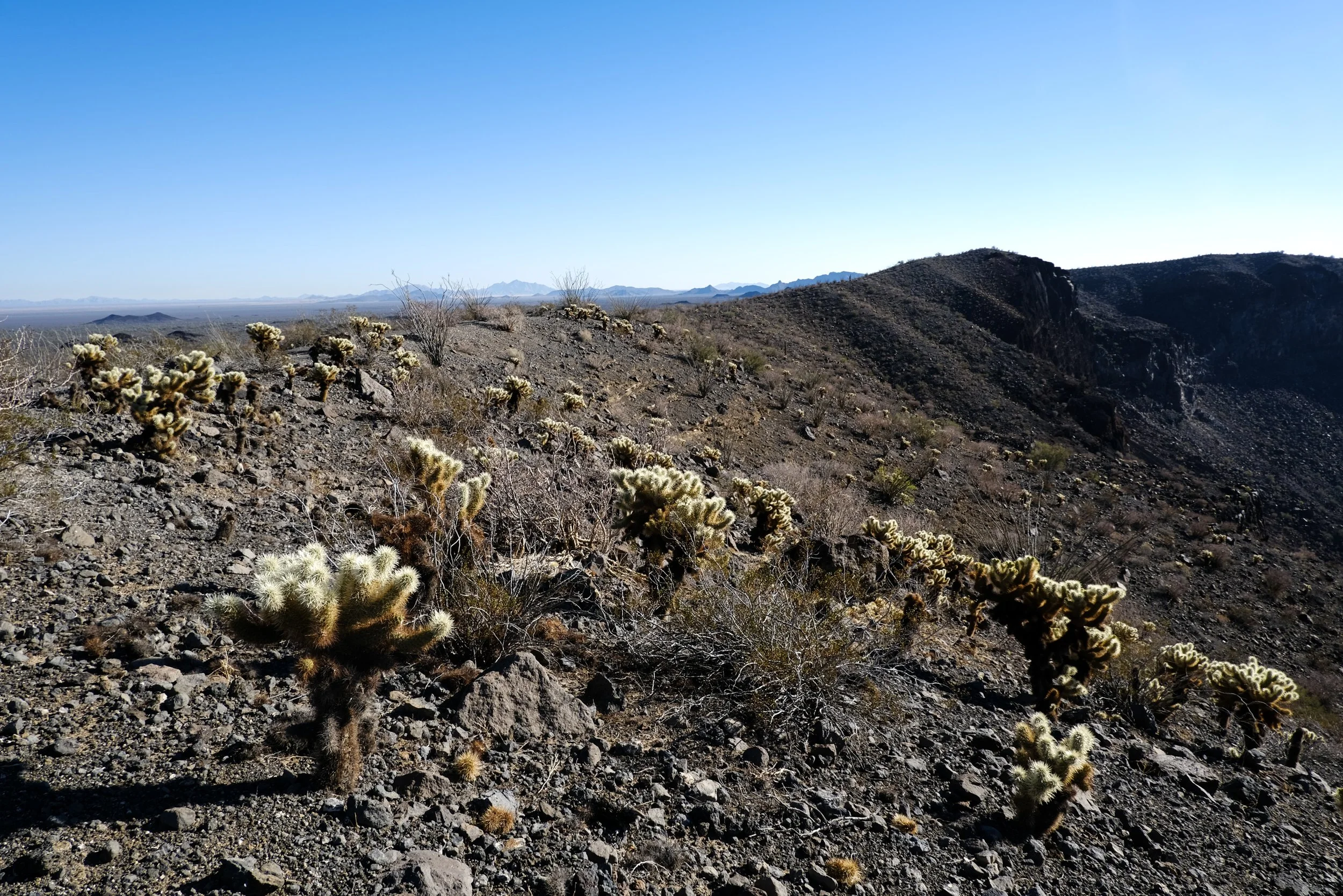 DSCF4839.jpg