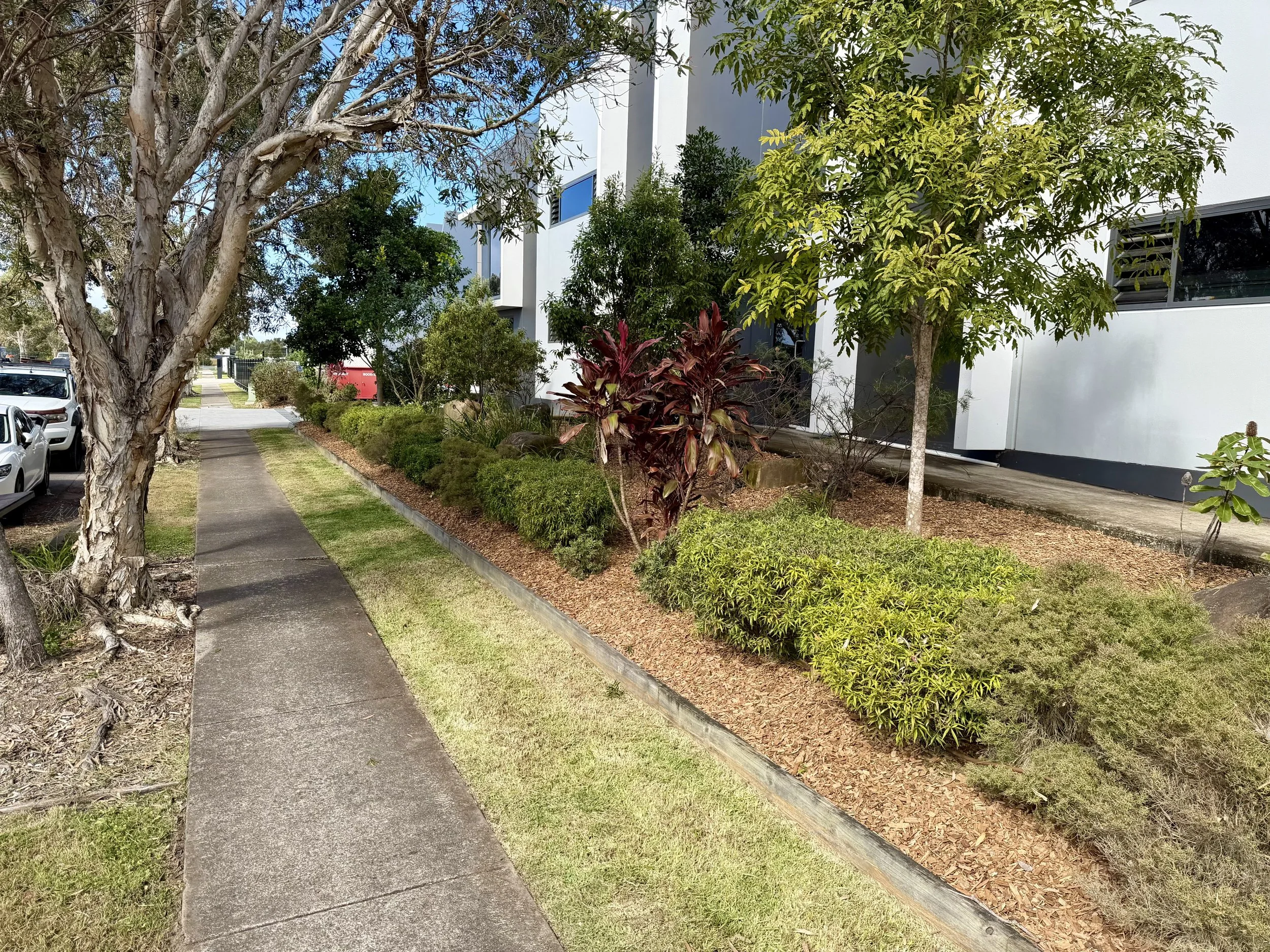 Sidewalk along a landscaped area with trees and bushes in front of a modern white building.