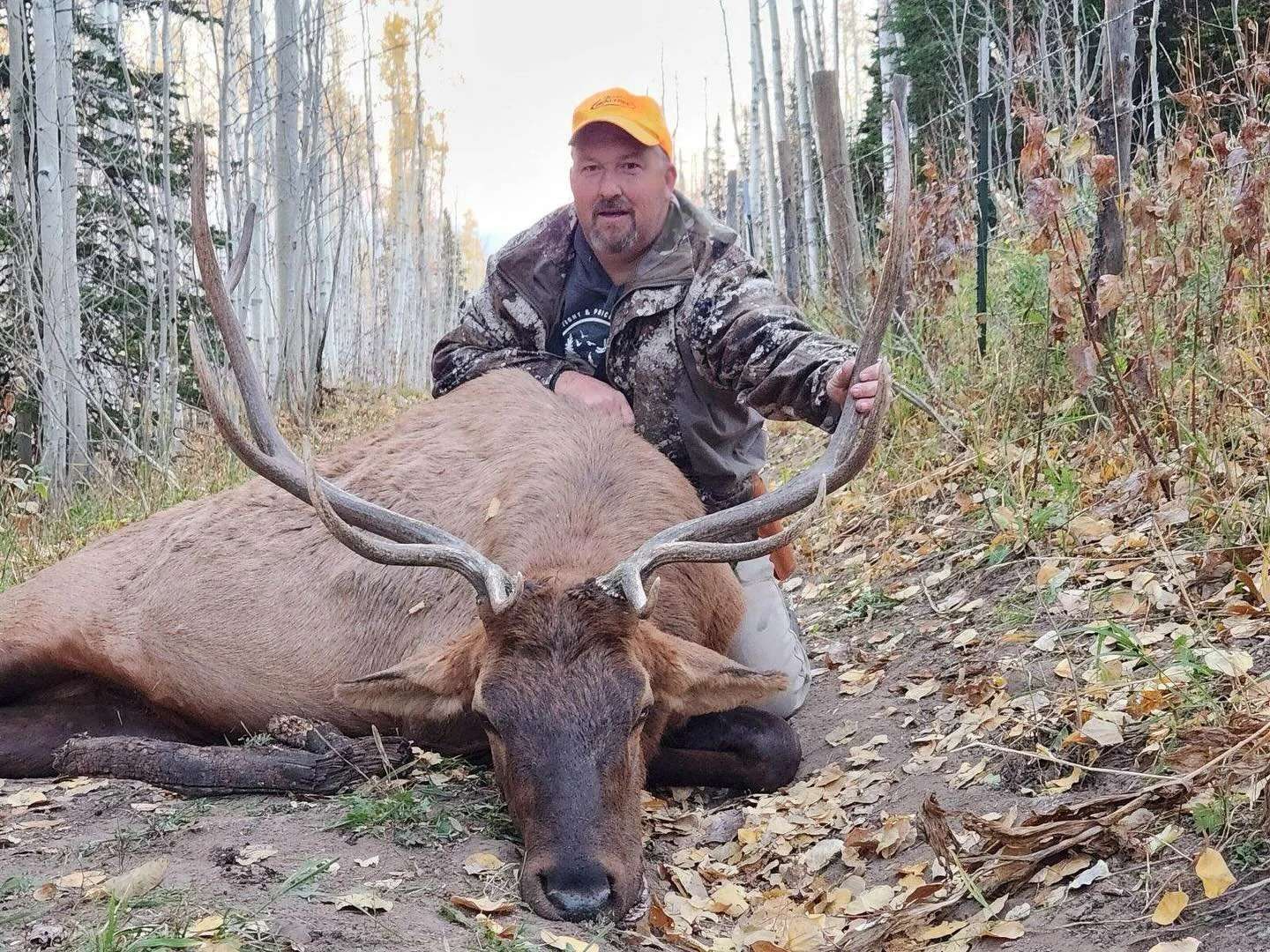 Congrats on your first bull Bull!
&bull;
&bull;
&bull;
&bull;
#huntutah #elk #muledeer #archery #rifle #muzzleloader #chalkcreek #humpypeak #sheepcamp #westernrangecamps #phelpsgamecalls