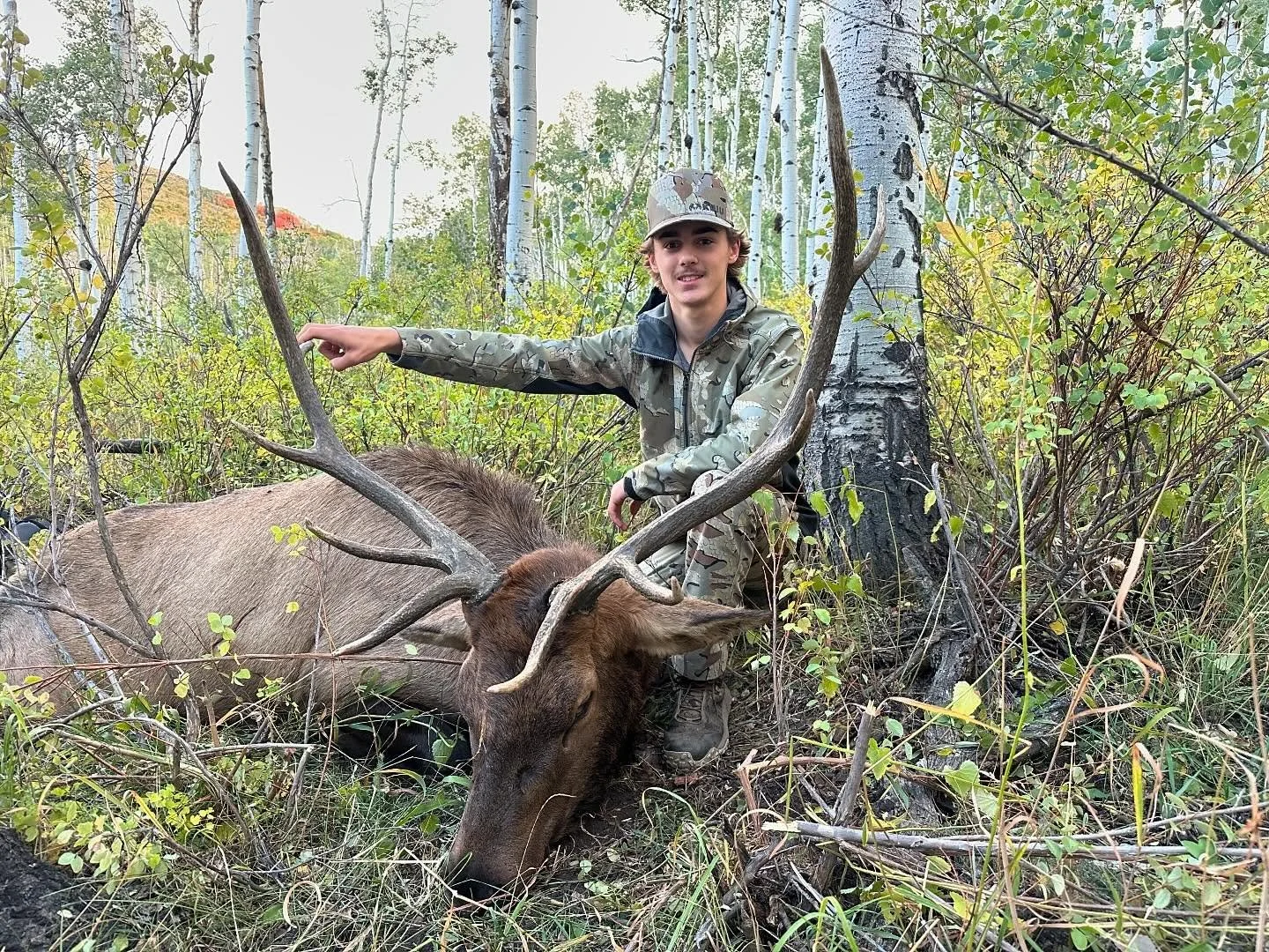 There was a shootout in the trees and Ryan came out on top. Great shooting!
&bull;
&bull;
&bull;
&bull;
#huntutah #elk #muledeer #archery #rifle #muzzleloader #chalkcreek #humpypeak #sheepcamp #westernrangecamps #phelpsgamecalls