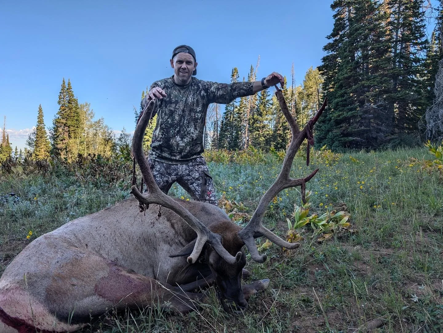 Our opening week started off very slow until the boys knocked these two down on the same hill side back to back. 
&bull;
&bull;
&bull;
#huntutah #elk #muledeer #archery #rifle #muzzleloader #chalkcreek #humpypeak #sheepcamp #westernrangecamps #phelps