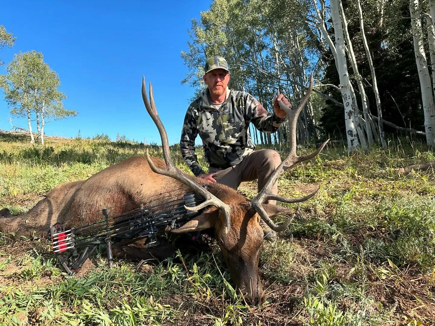 It was a great morning today. Ryan killed his first archery bull. Congrats!
&bull;
&bull;
&bull;
#huntutah #elk #muledeer #archery #rifle #muzzleloader #chalkcreek #humpypeak #sheepcamp #westernrangecamps #phelpsgamecalls