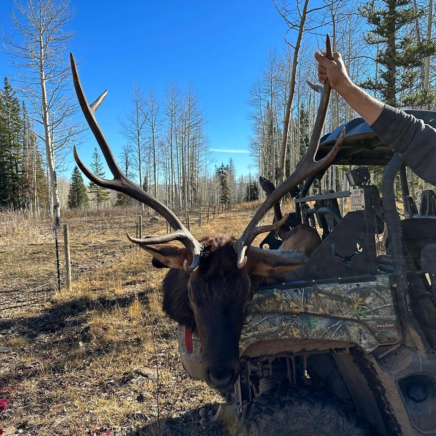 Between the long winter, tough spring, and the odd weather that came through we had a tough season. Thanks to everyone that has come out so far, your support means everything to us. Hopefully we are redeemed on muzzleloader. 
&bull;
&bull;
&bull;
&bu
