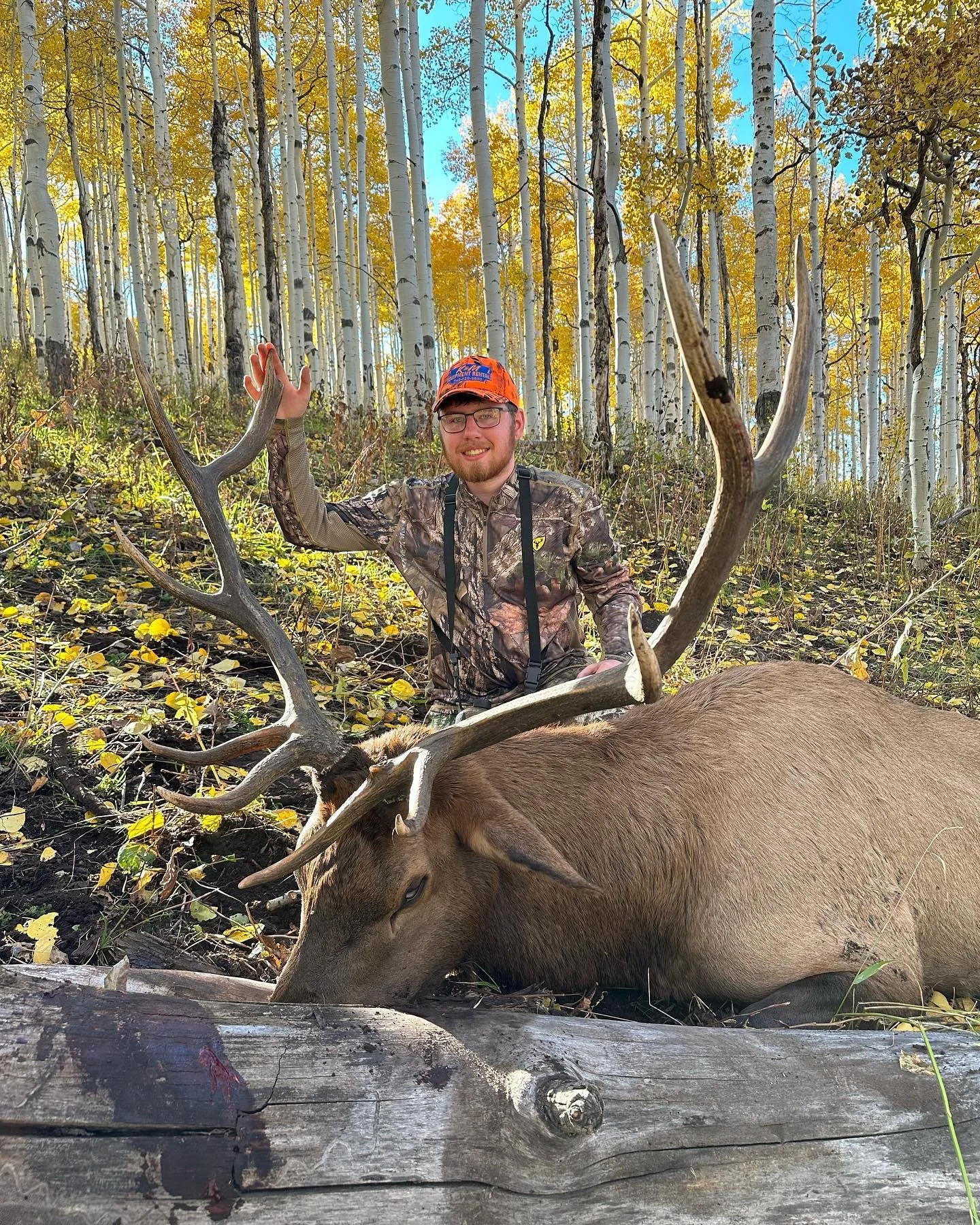 Great first bull of the rifle season
&bull;
&bull;
&bull;
&bull;
#huntutah #elk #muledeer #archery #rifle #muzzleloader #chalkcreek #humpypeak #sheepcamp #westernrangecamps #phelpsgamecalls