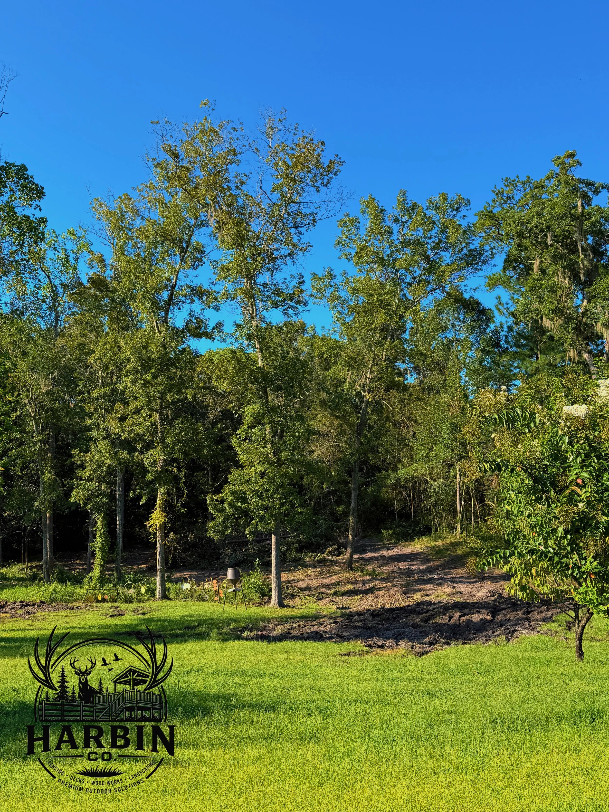 C56B36B1-7B16-409A-81C8-39DC5882B0D4.JPEG