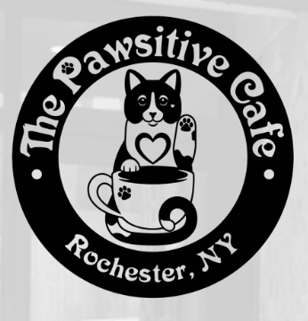 For four years, The Pawsitive Cafe has served as a vibrant community hub in the heart of Rochester's East End, welcoming students, locals, and animal lovers into a warm, relaxing space. Beyond offering a cozy environment to grab a snack, sip a hot be
