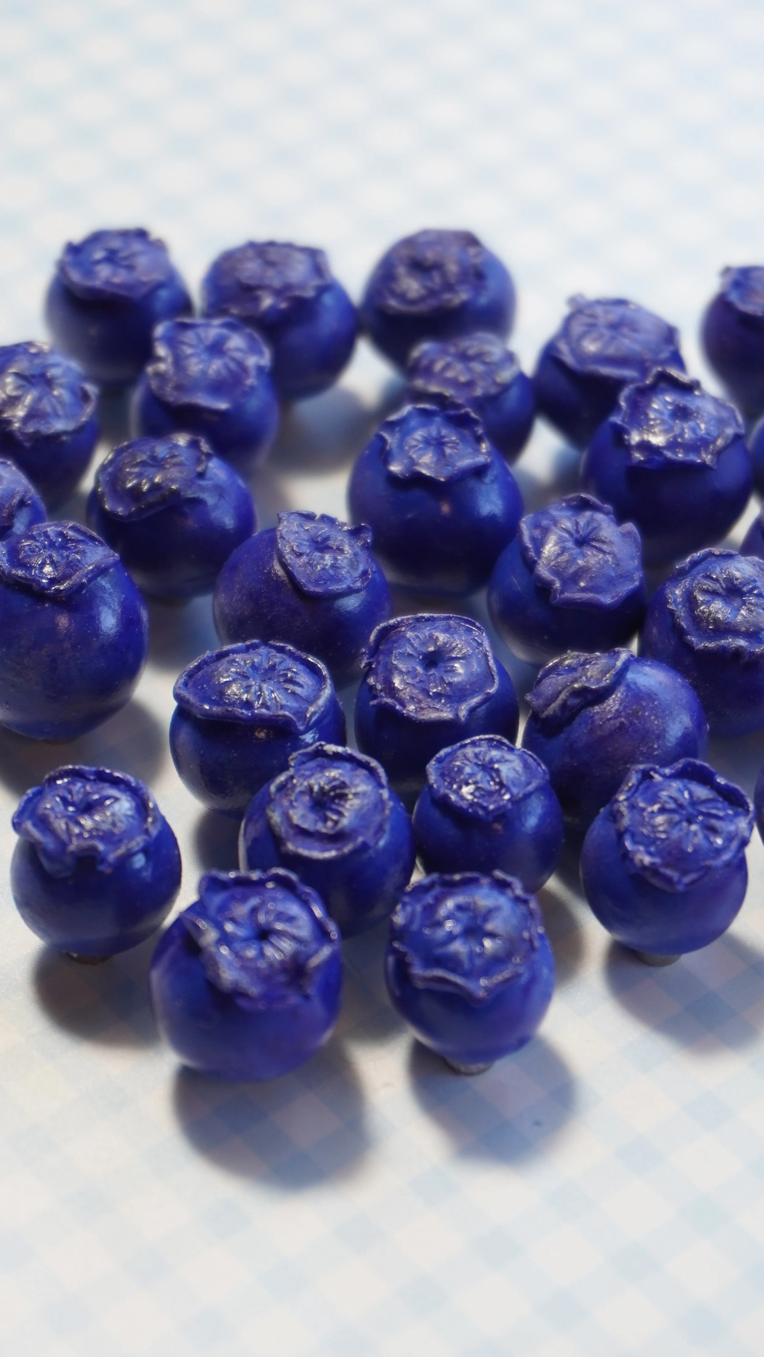 Blueberry Magnets (Set of 5)
