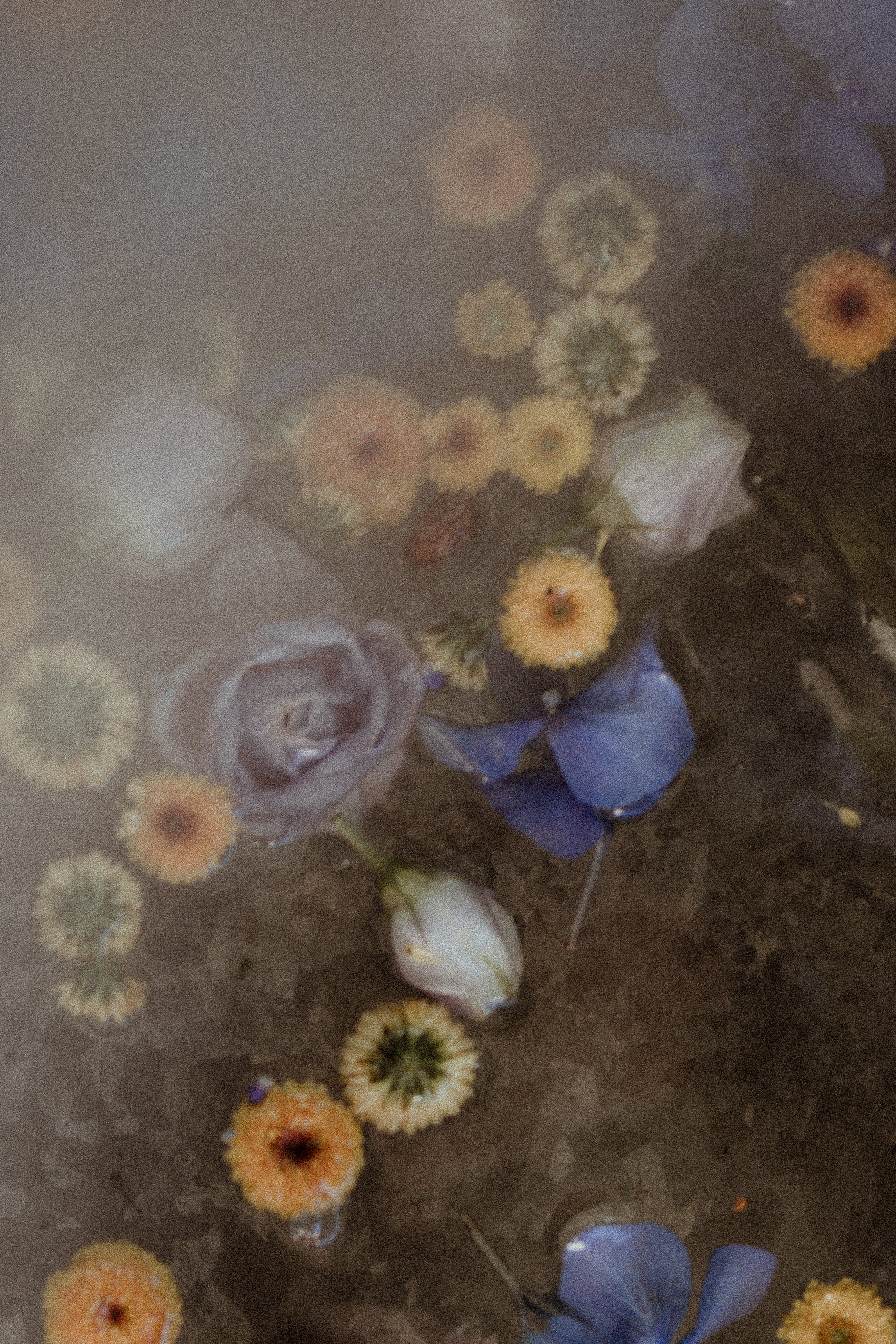 Un bouquet de fleurs composé de différentes fleurs colorées, notamment des roses, avec un ruban bleu comme symbole de renouveau sans dans le quête de sens et d'identité en Alsace à Colmar.
