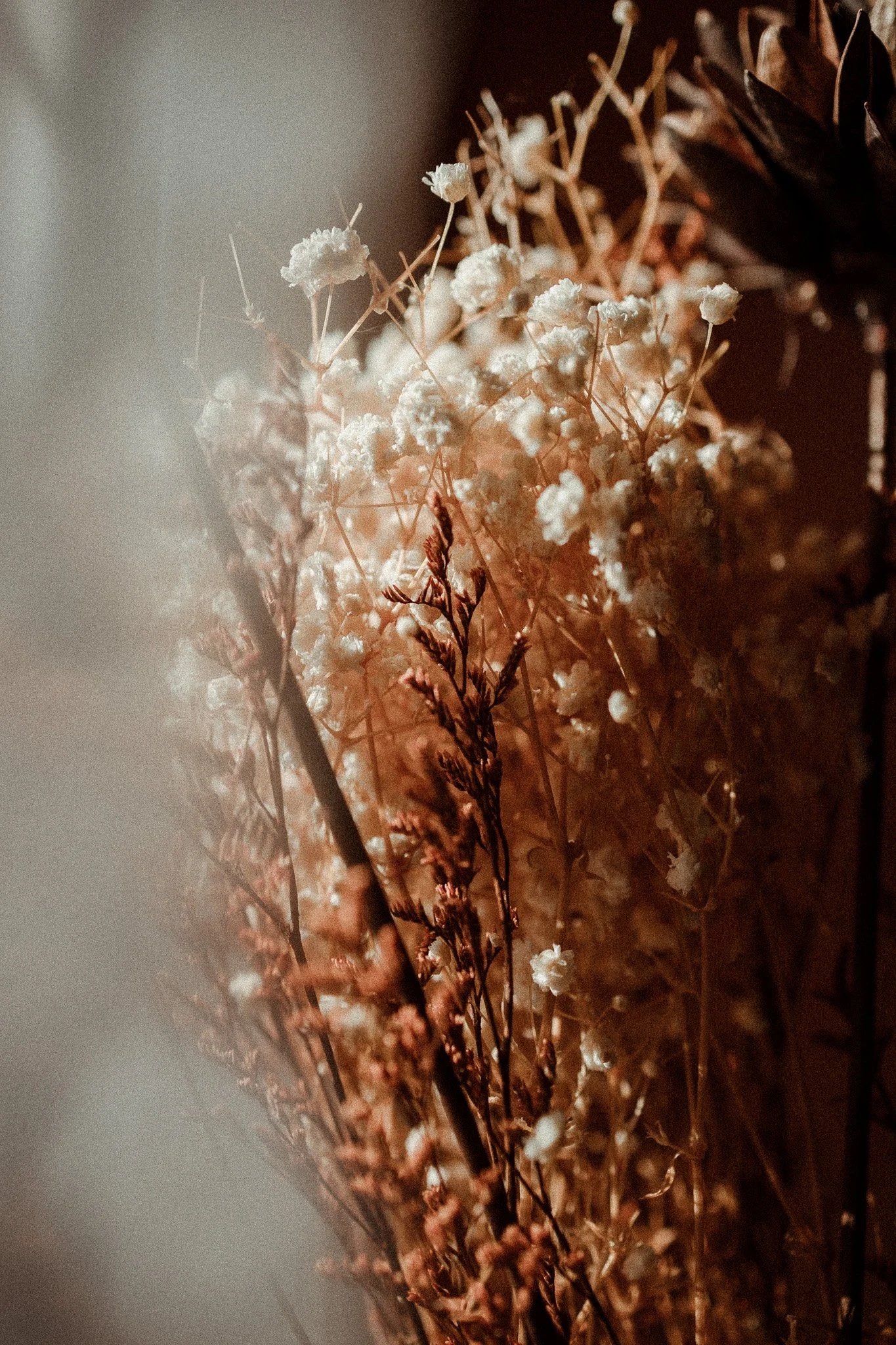 Des branches sèches avec de petites fleurs blanches, dans une lumière douce et une ambiance chaleureuse pour symboliser la confiance retrouvée à Colmar en Alsace.