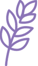 Simple purple line drawing of a plant with leaves