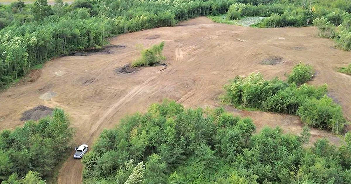Mersey Phase 3 Wetland Mitigation