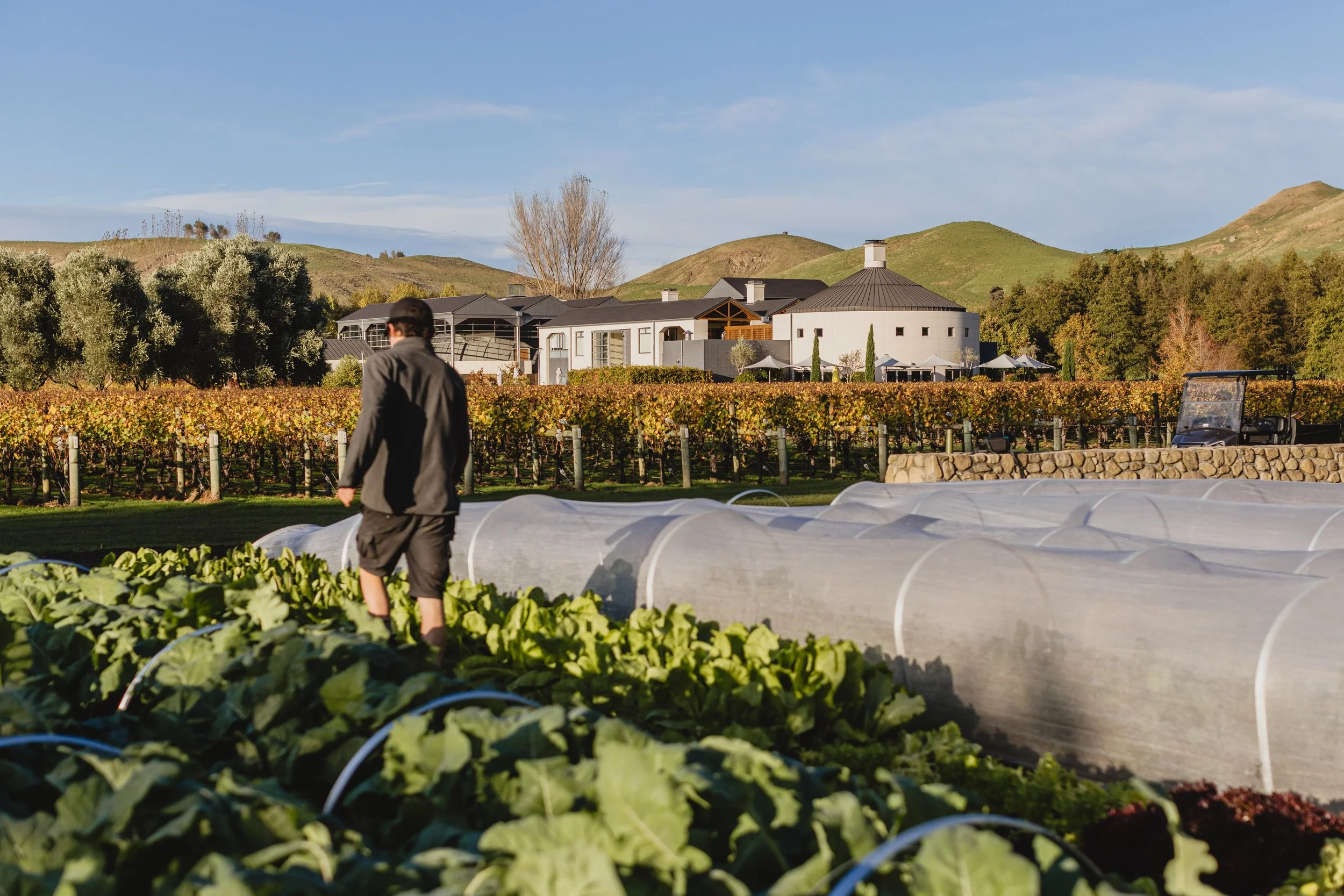 A person tending to a lush vegetable garden with tunnels, with a charming estate and rolling hills in the background under a blue sky.
