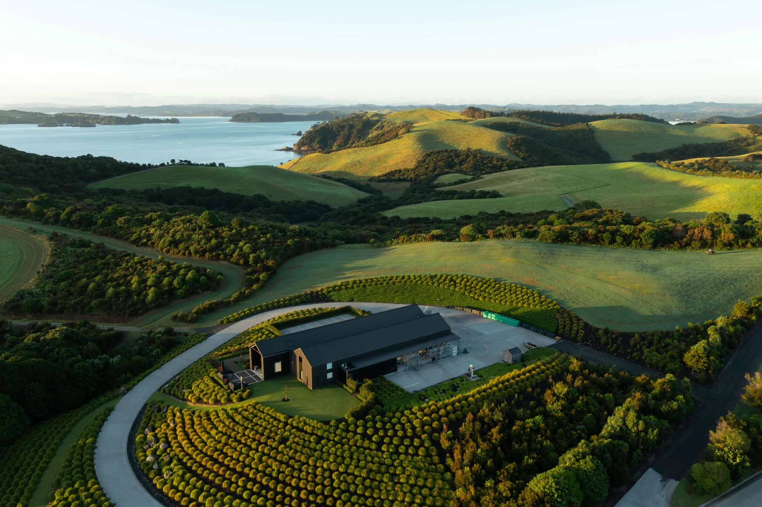 DJI_0213.jpg