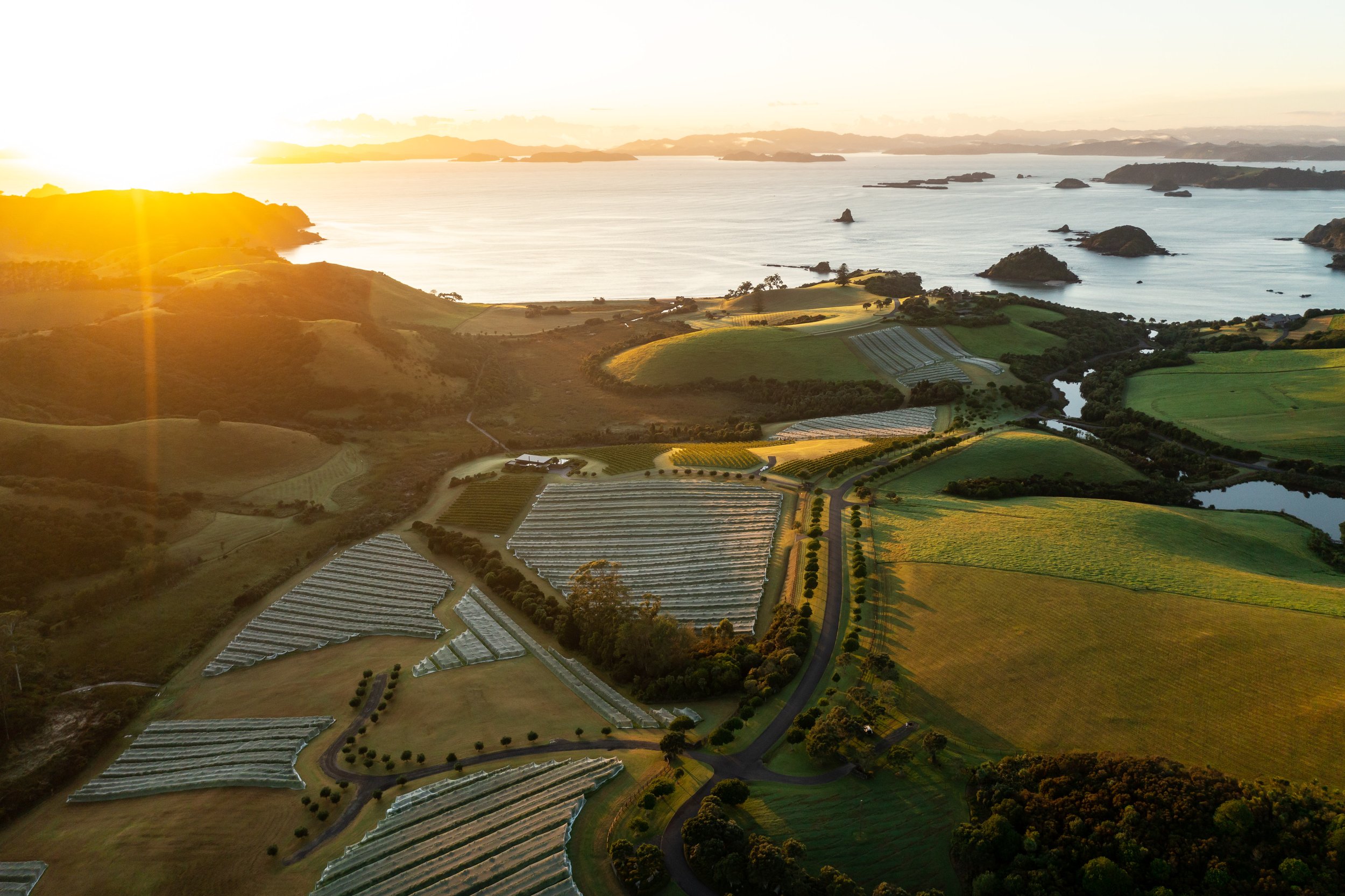 DJI_0180.jpg